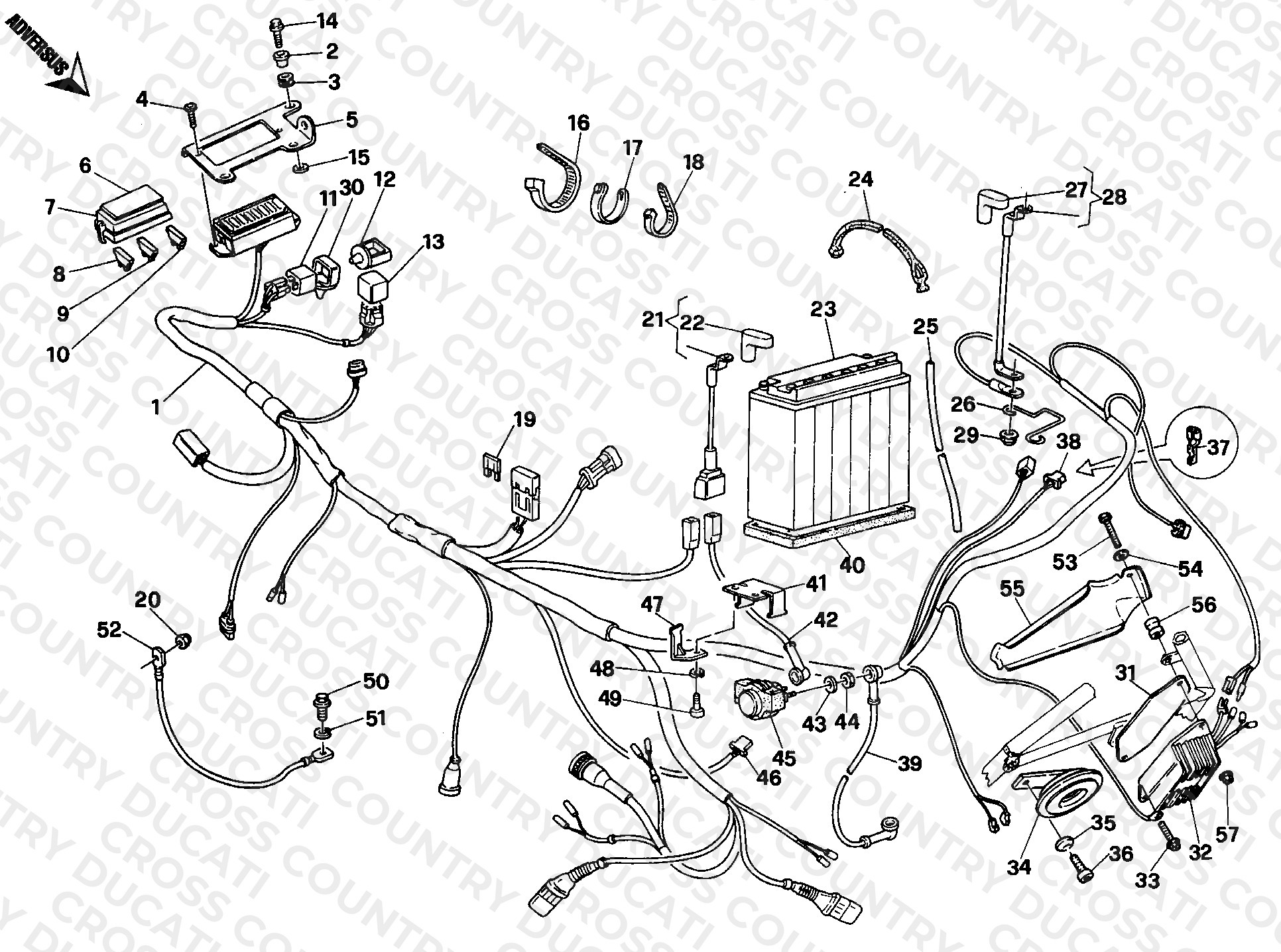 Wiring Harness