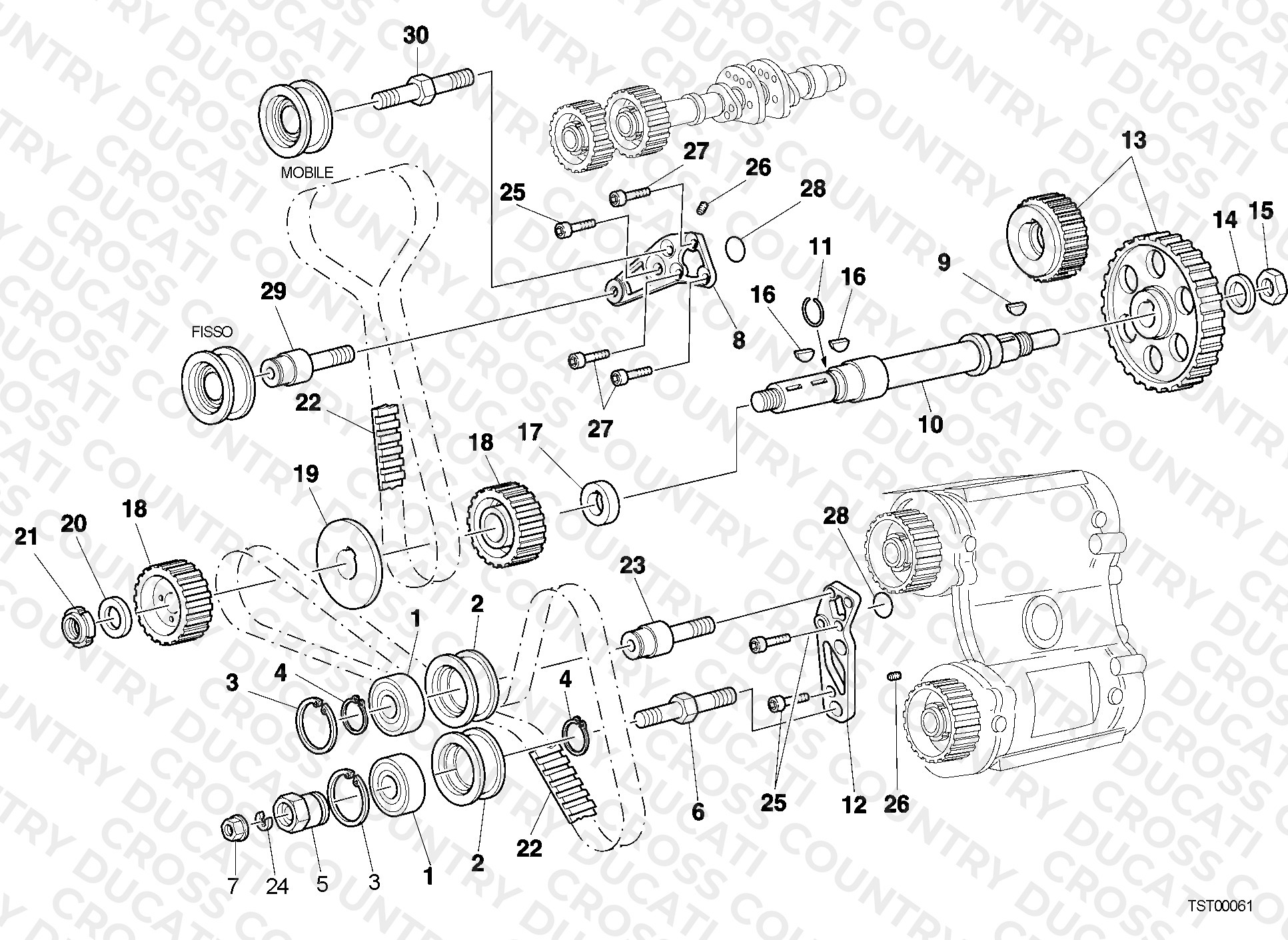 Timing Belt