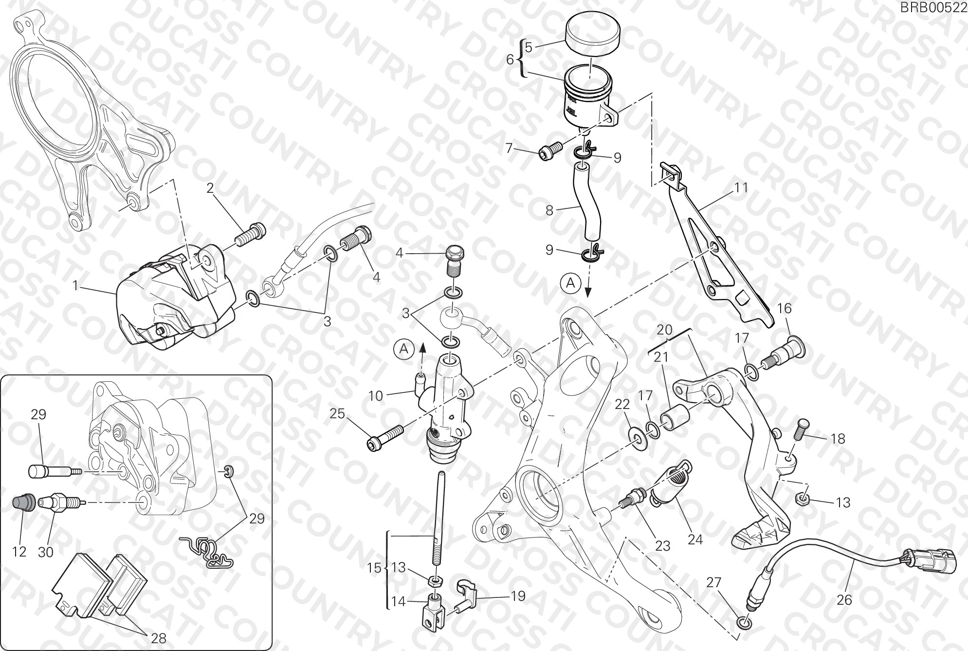 Rear Brake System