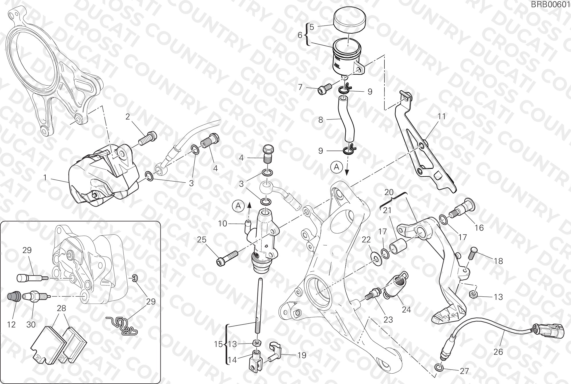 Rear Brake System