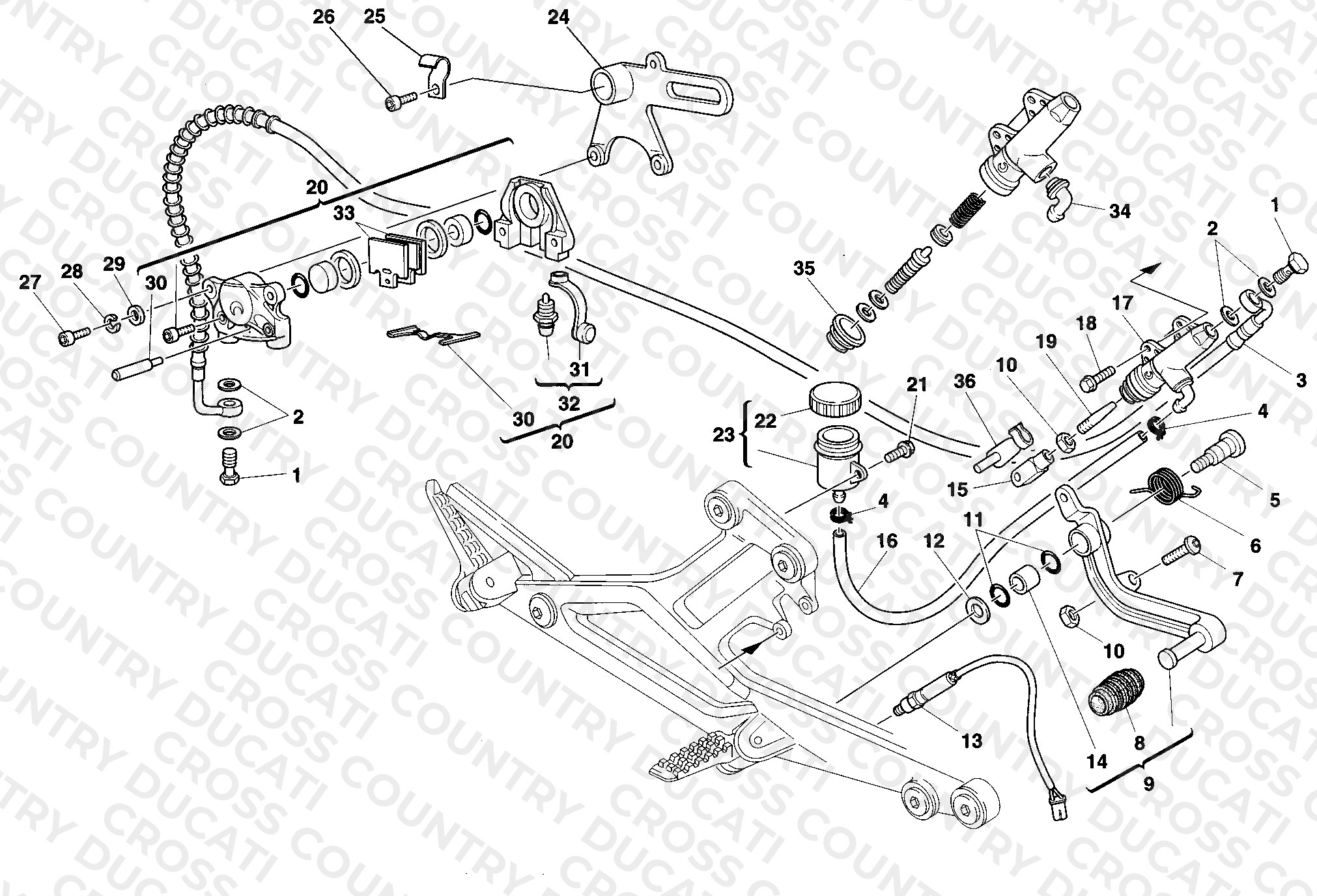 Rear Brake System