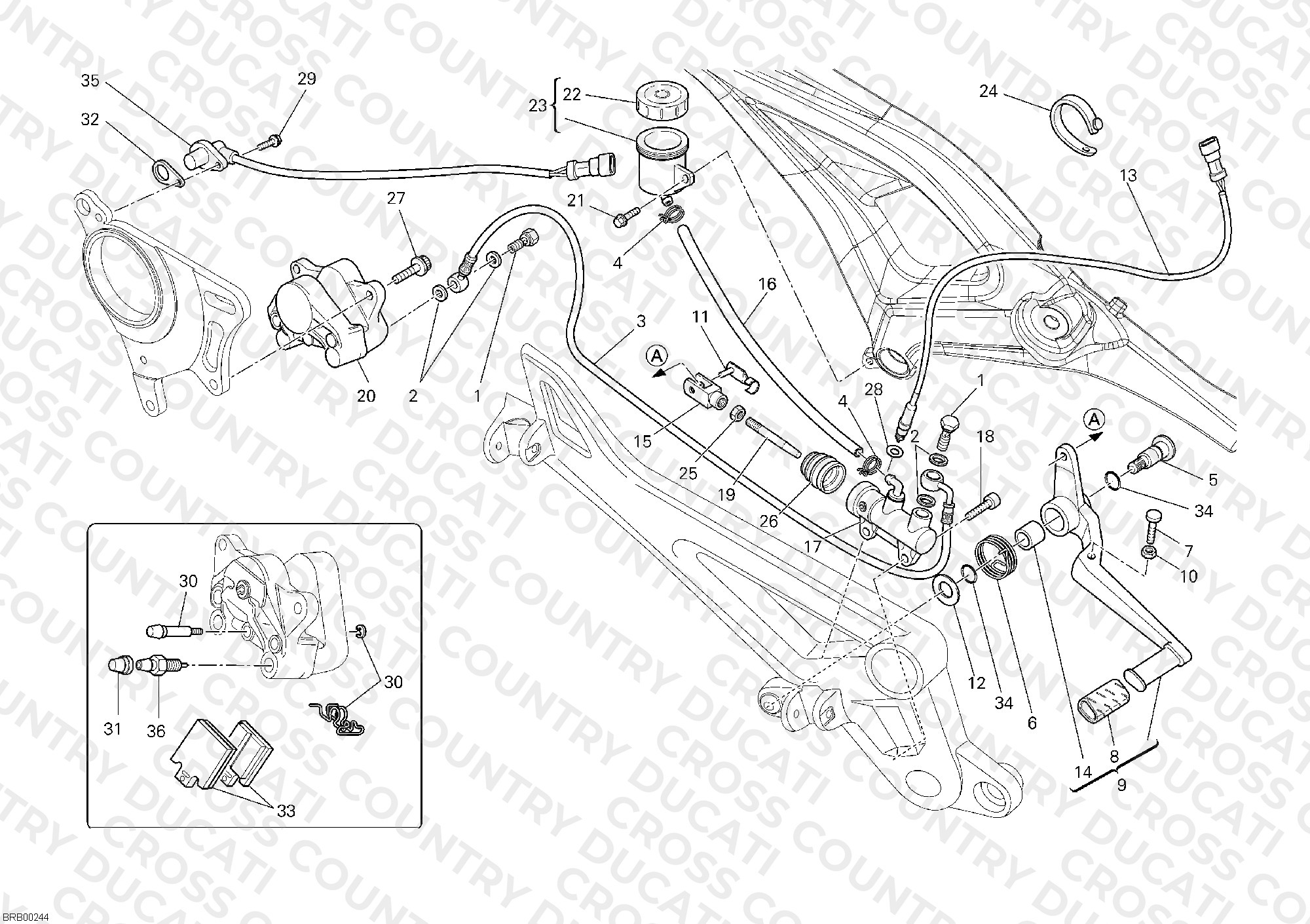 Rear Brake System