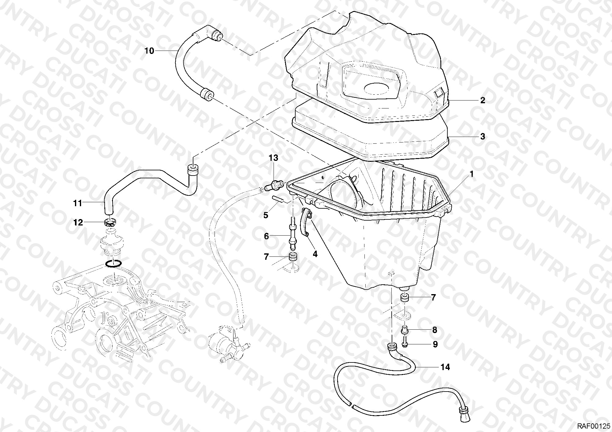 Intake