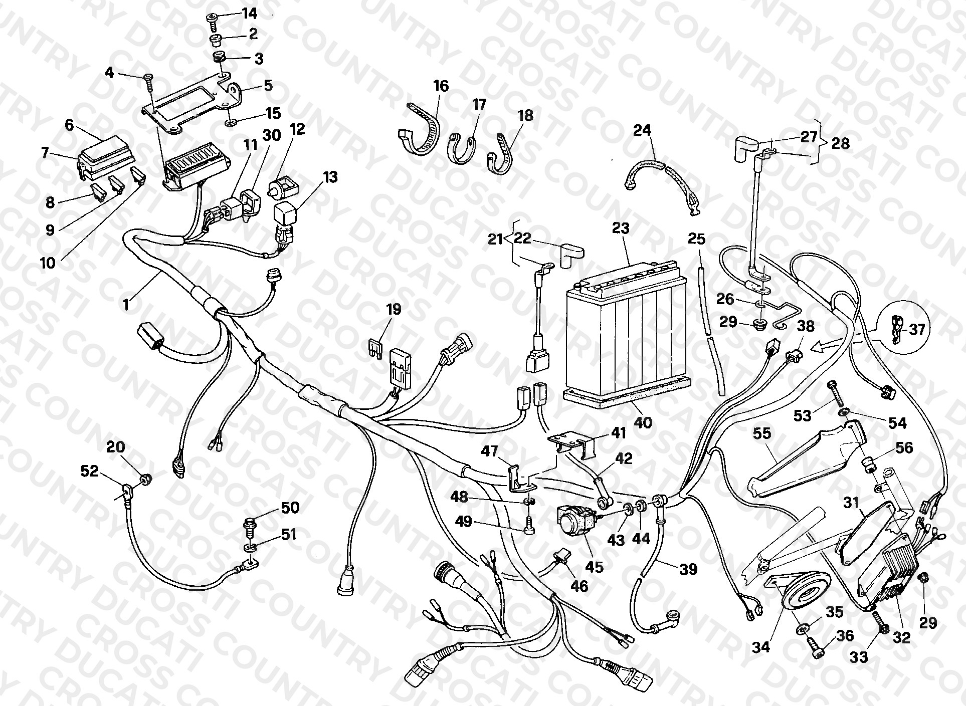 Wiring Harness