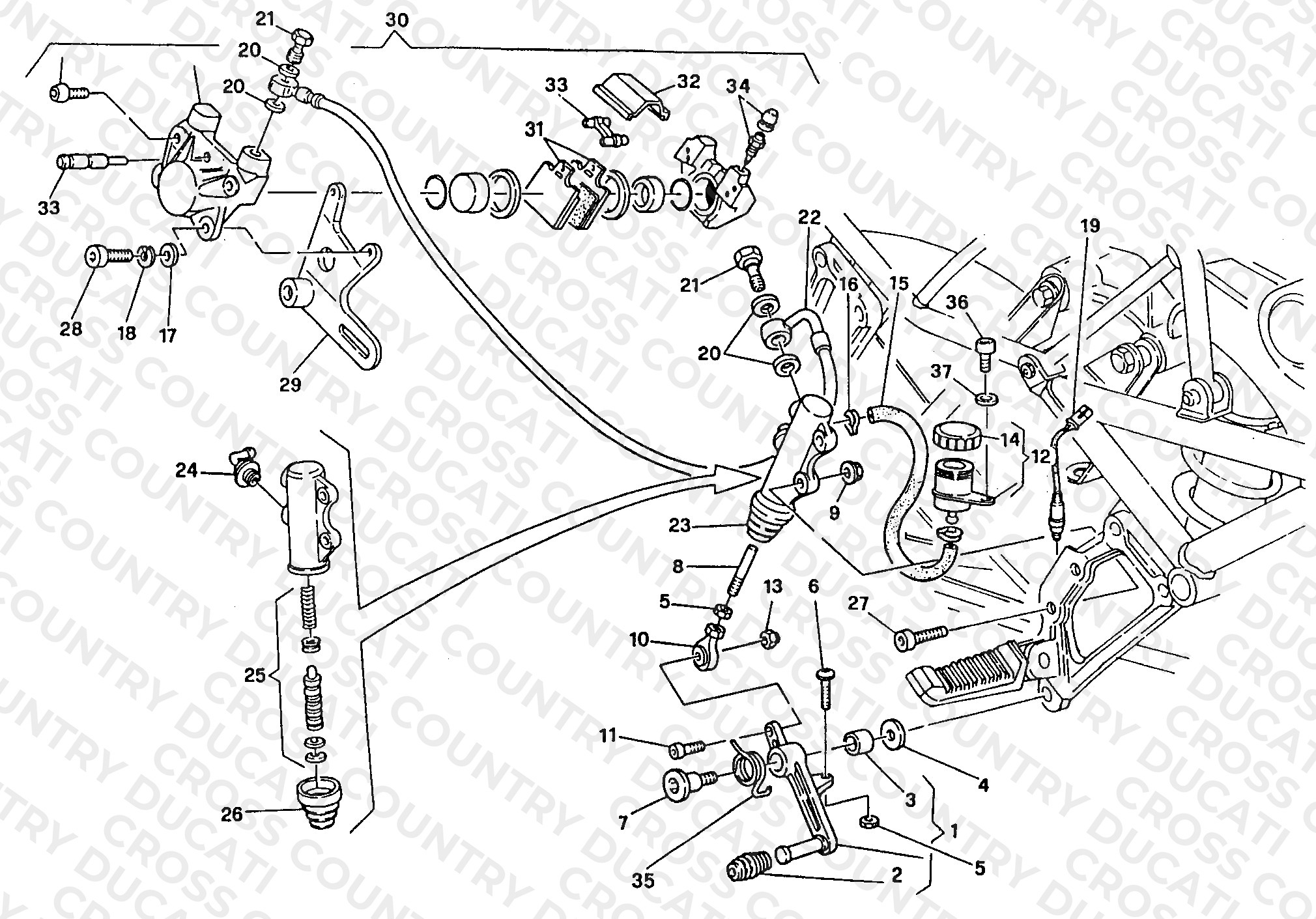 Rear Brake System