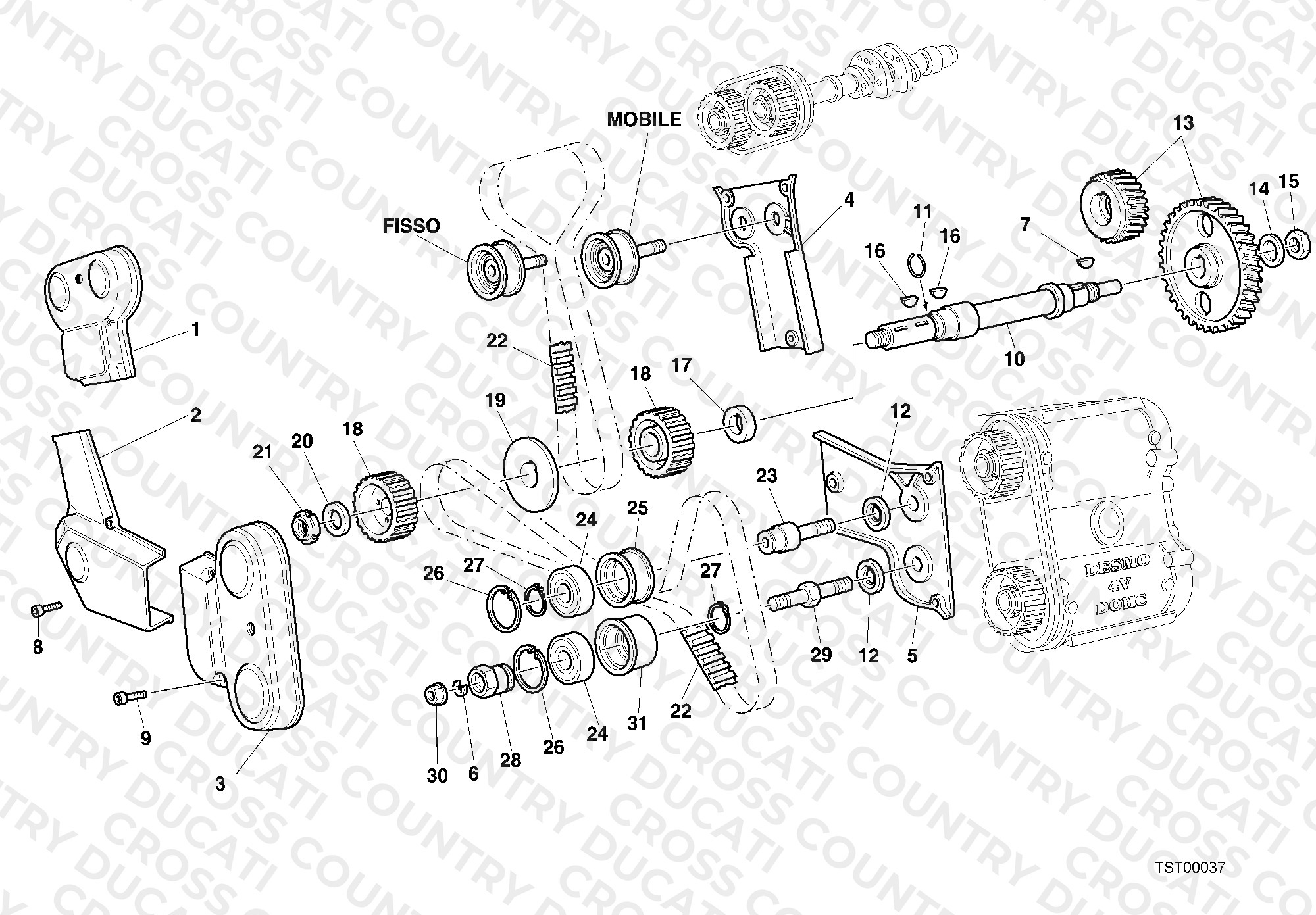 Timing Belt