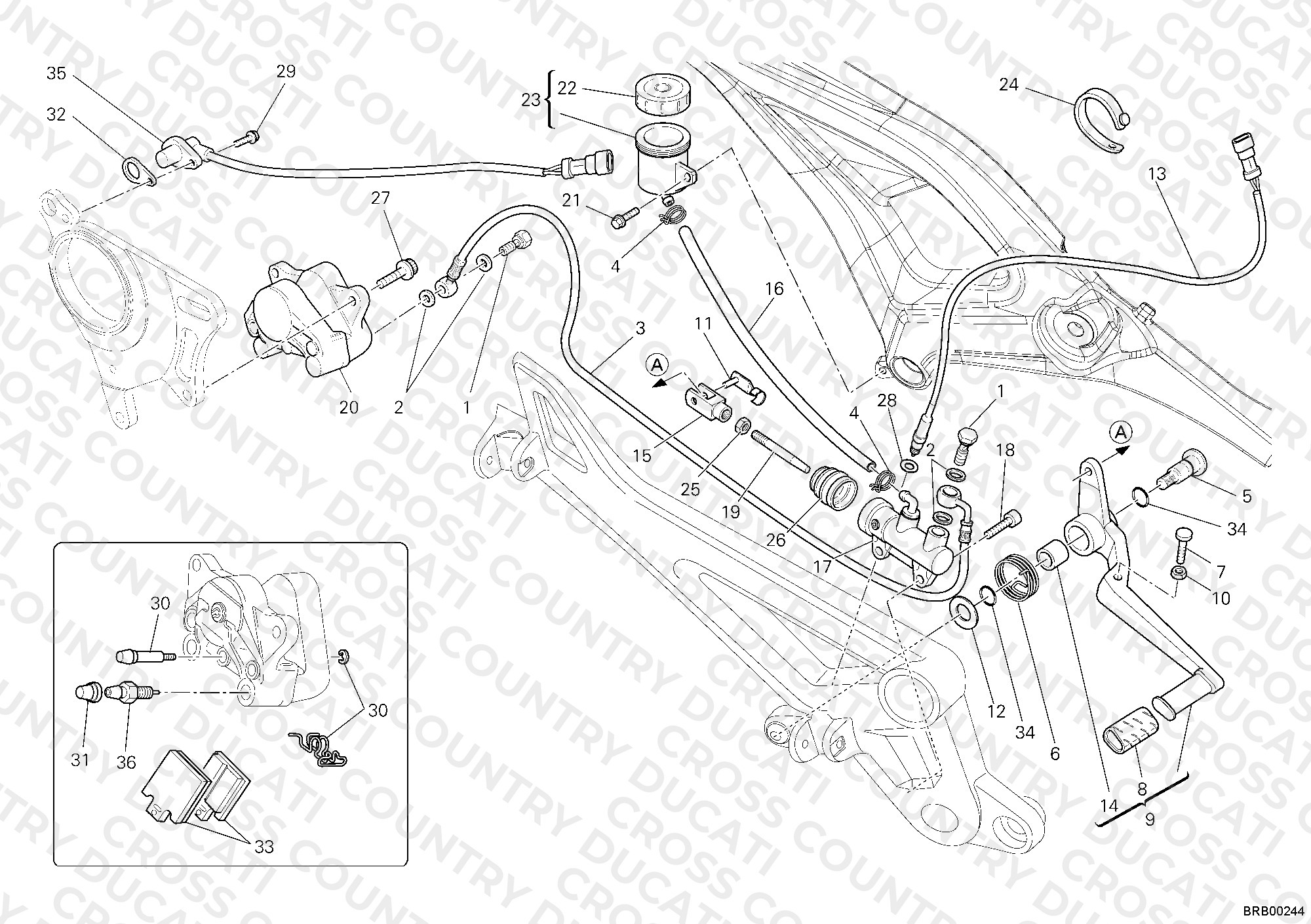 Rear Brake System