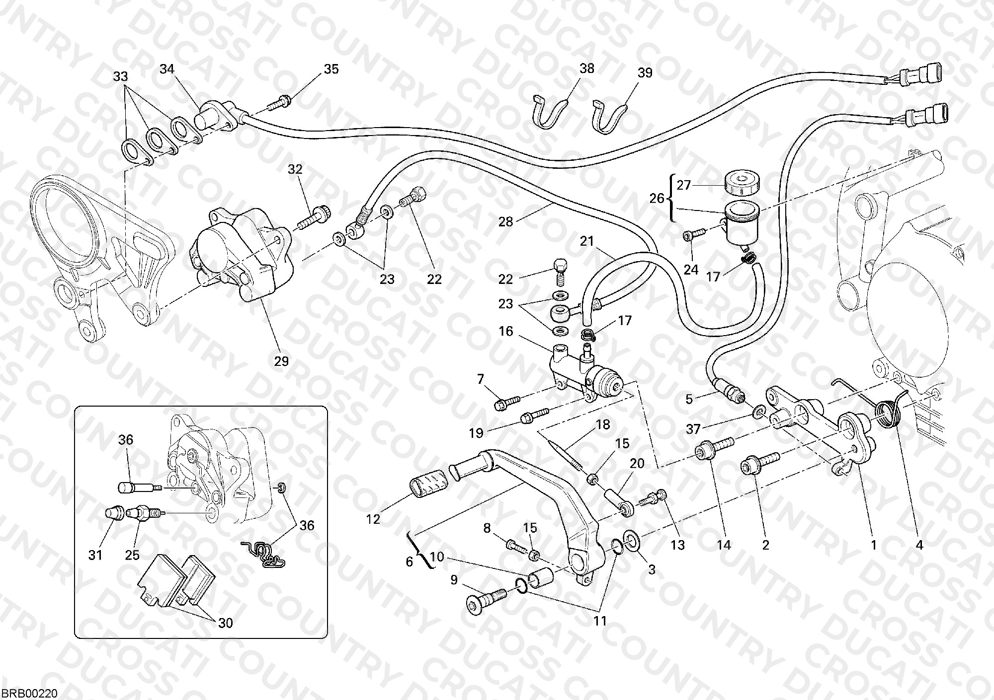 Rear Brake System