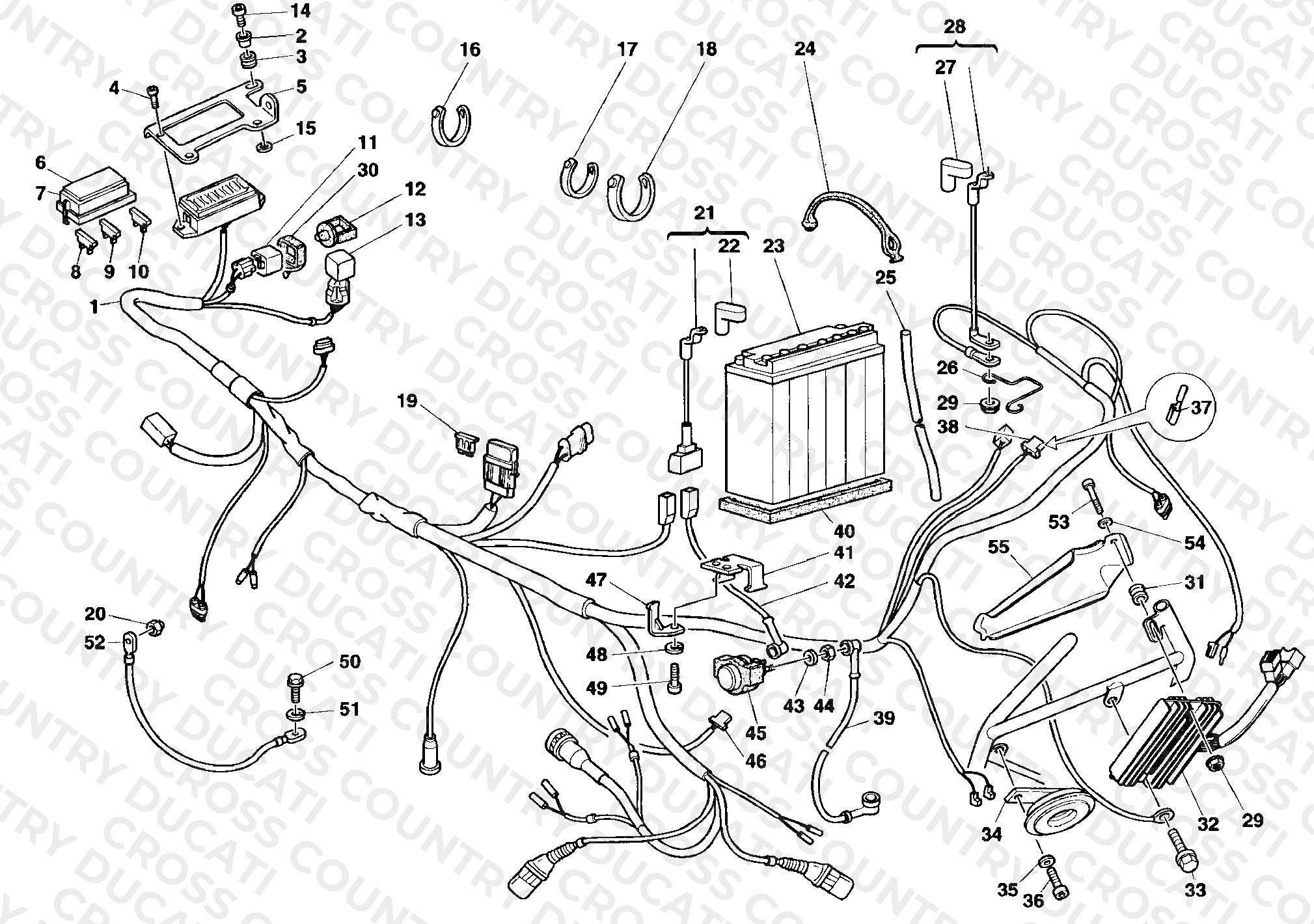 Wiring Harness
