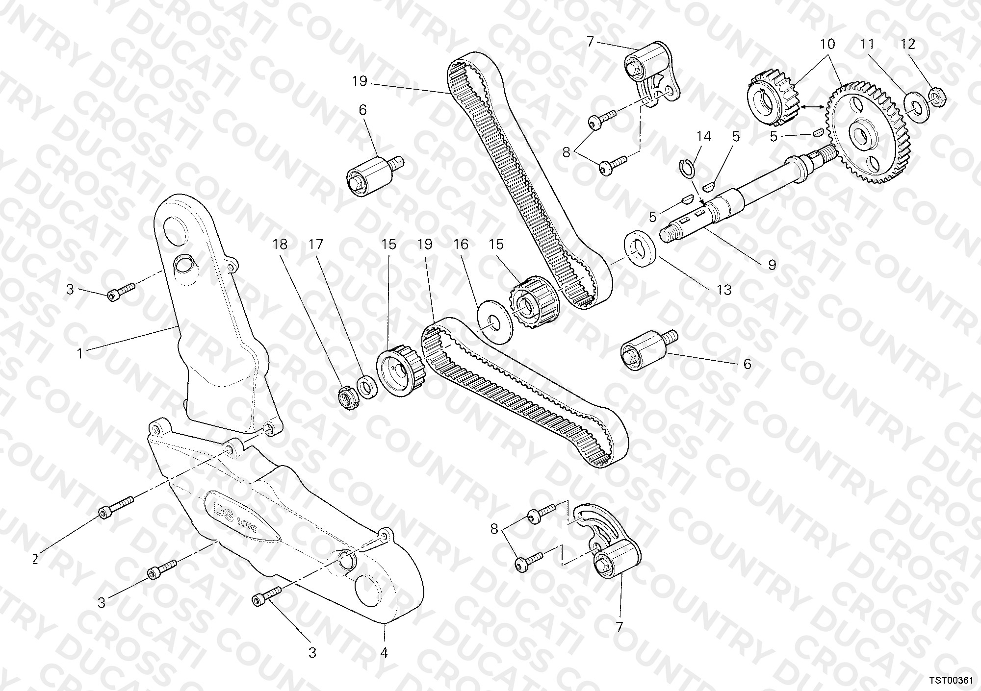 Timing Belt