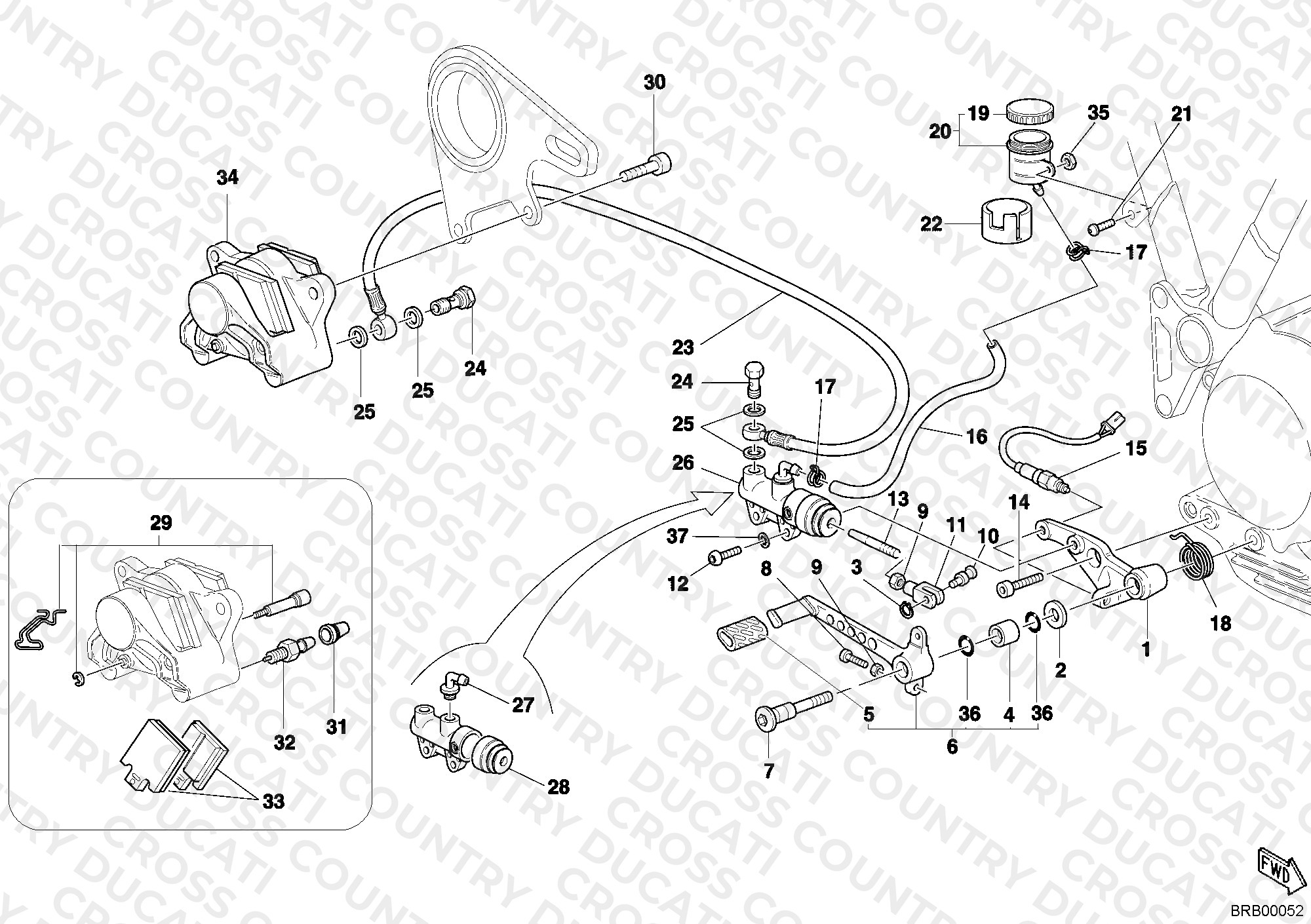Rear Brake System