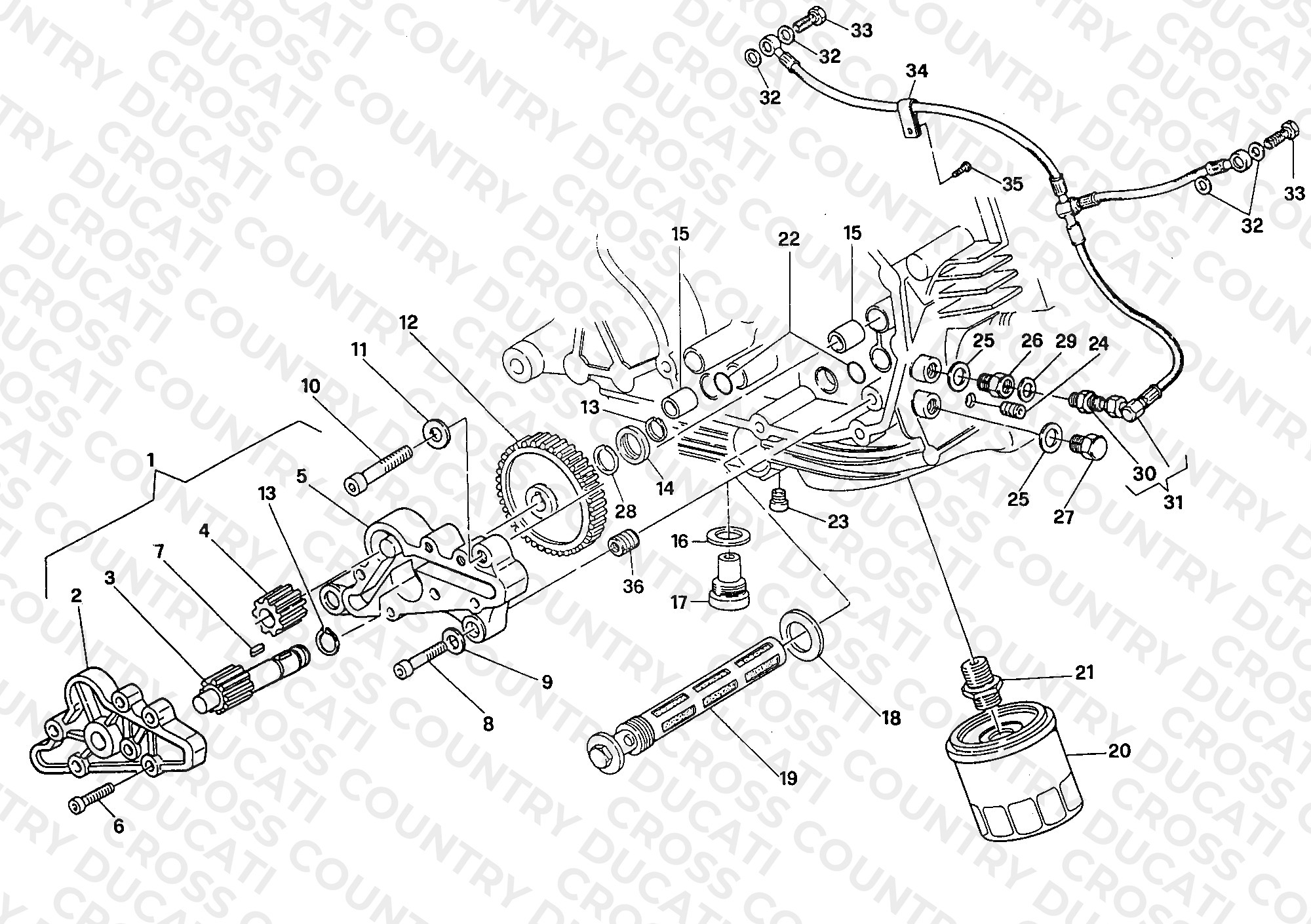 Oil Pump - Filter