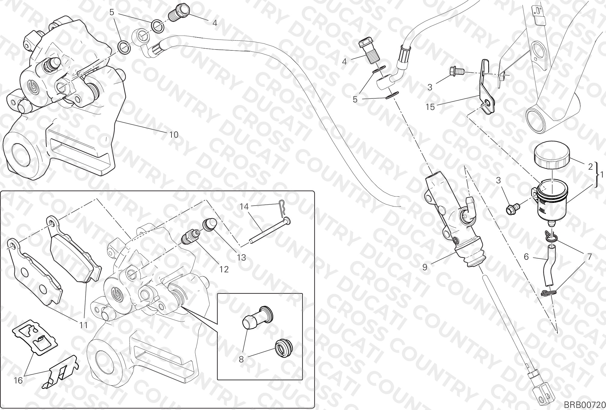 Rear Brake System