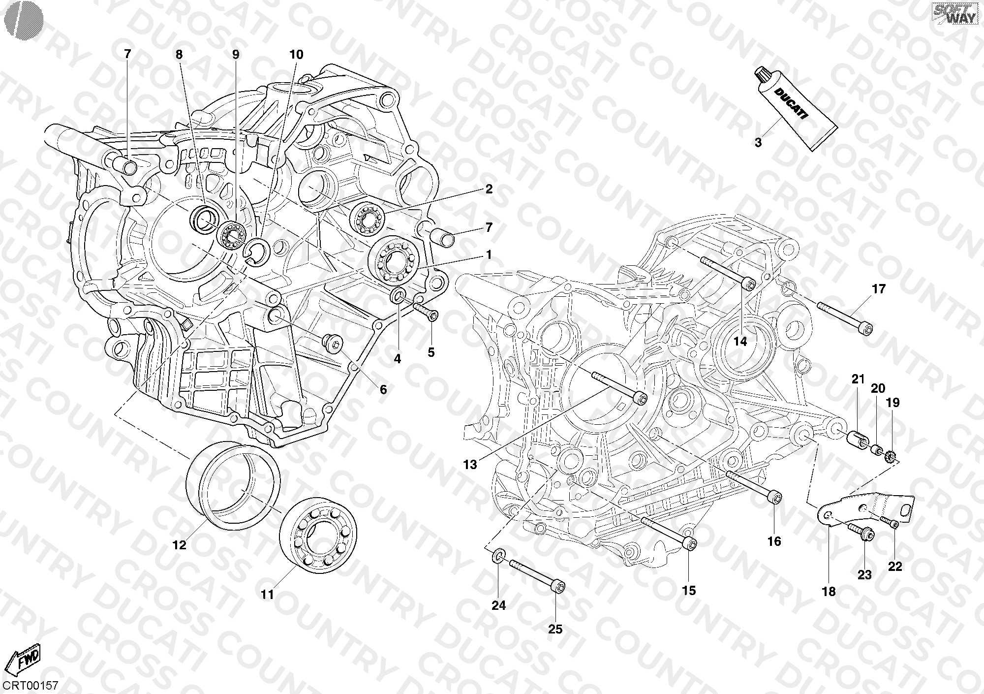 Crankcase Bearings