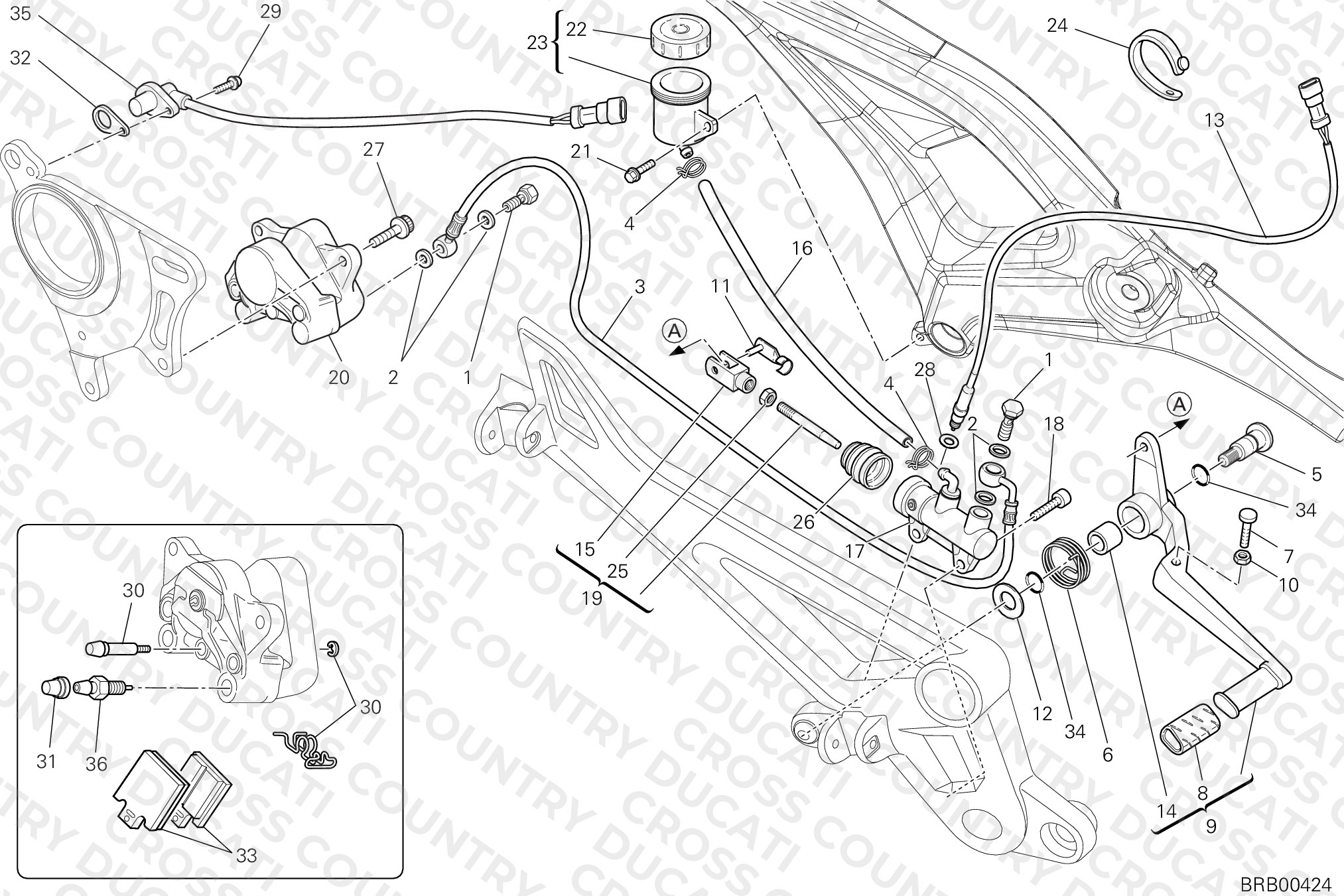 Rear Brake System