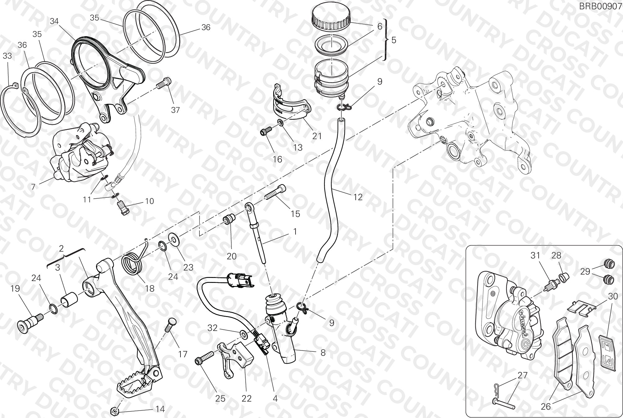 Rear Brake System