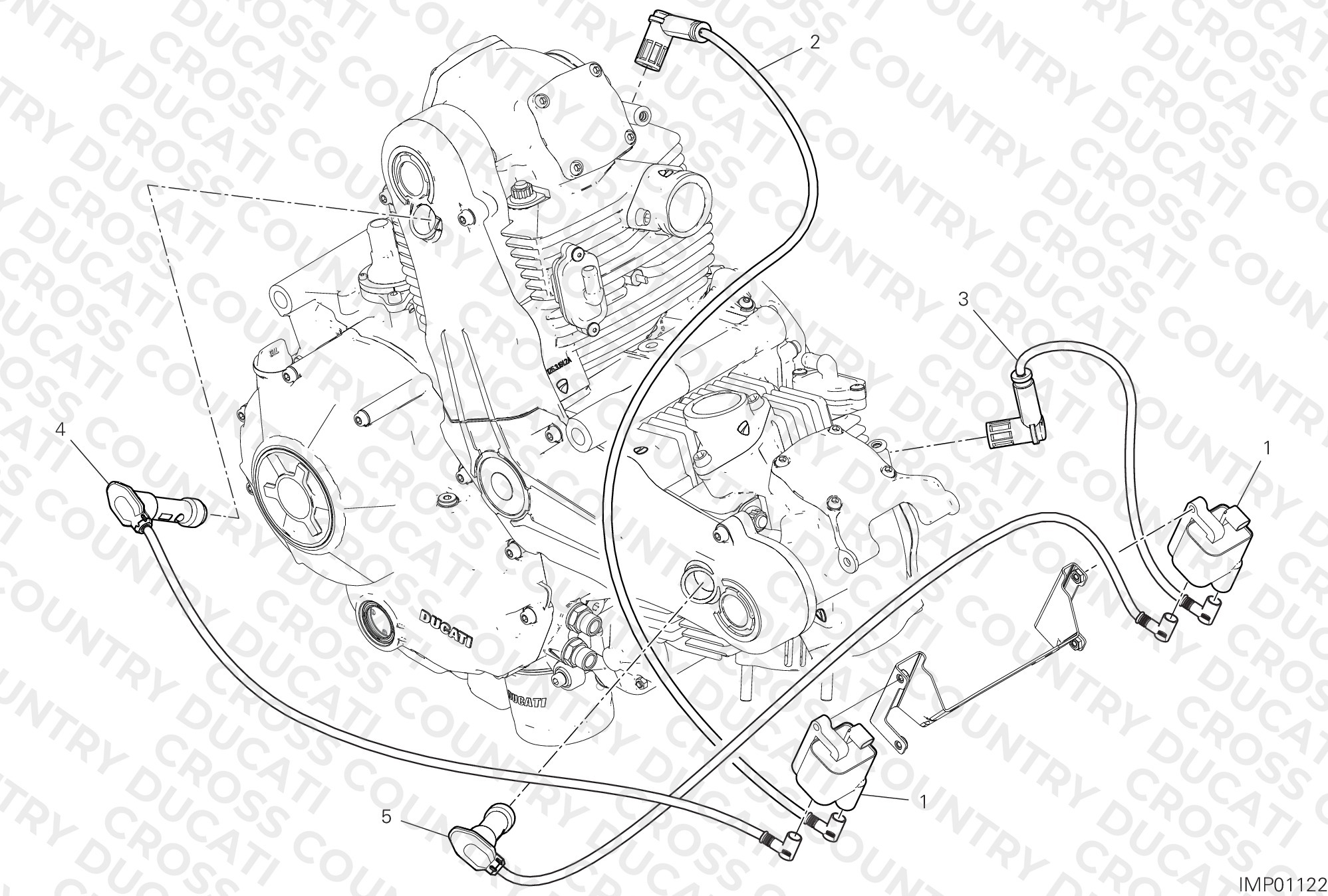 Wiring Harness (Coil)