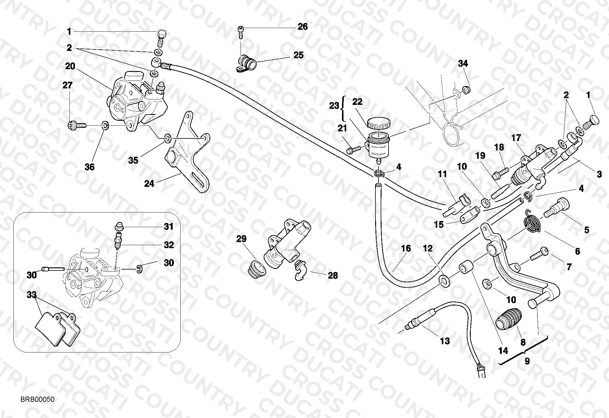 Rear Brake System