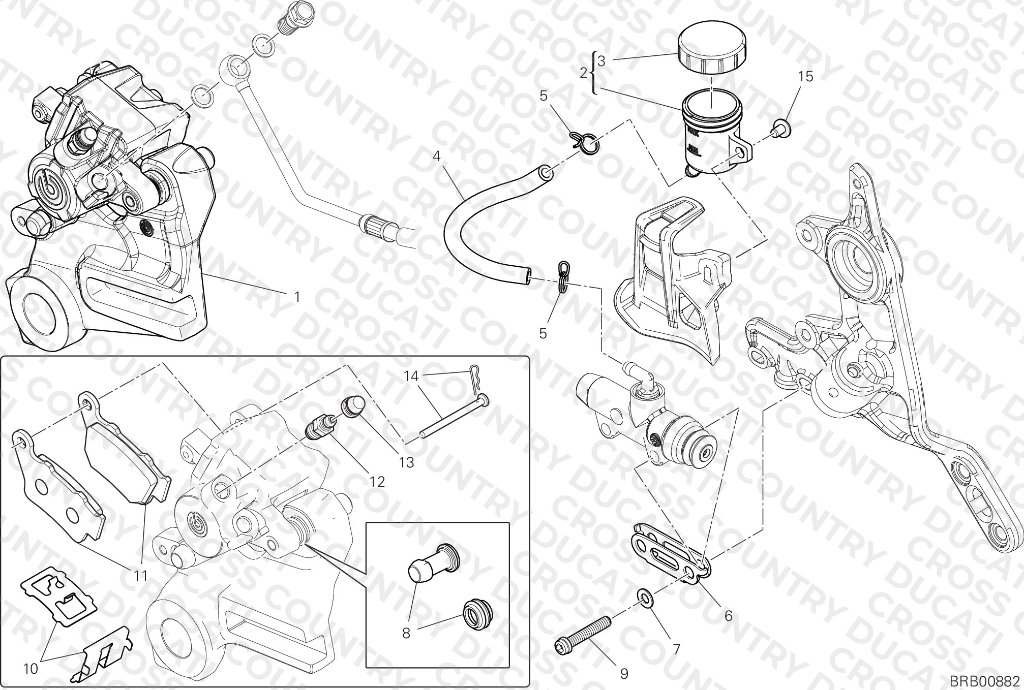 Rear Brake System