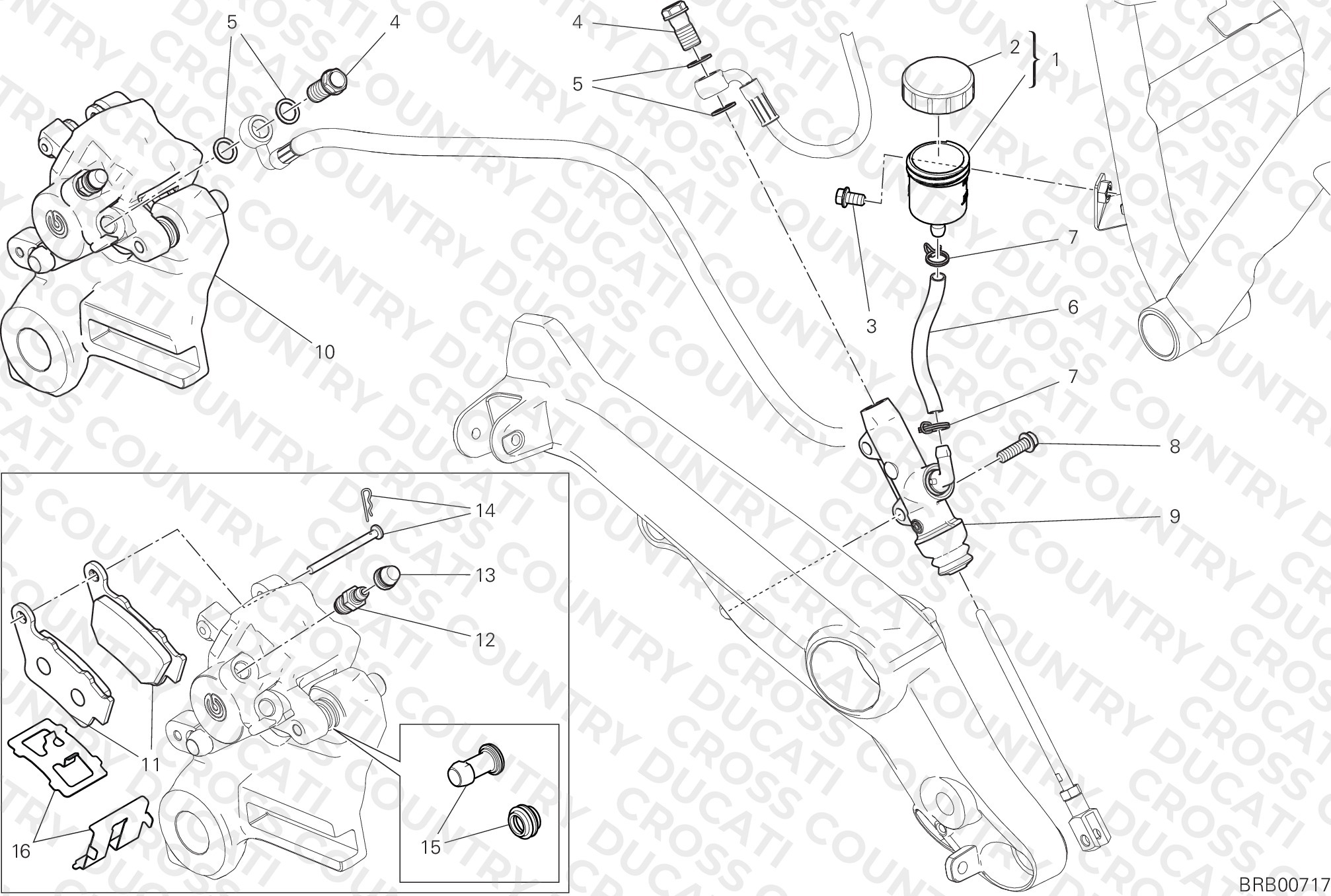 Rear Brake System