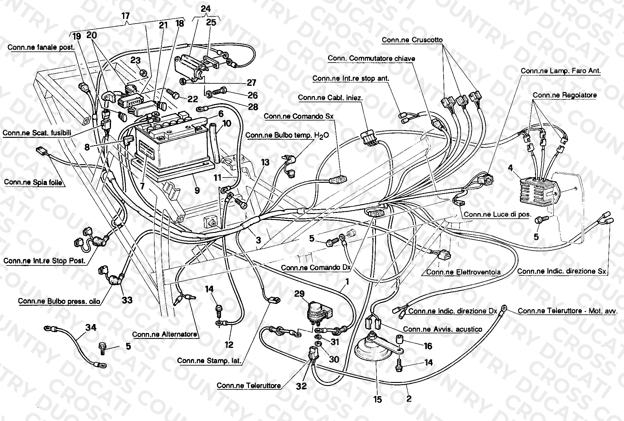 Wiring Harness