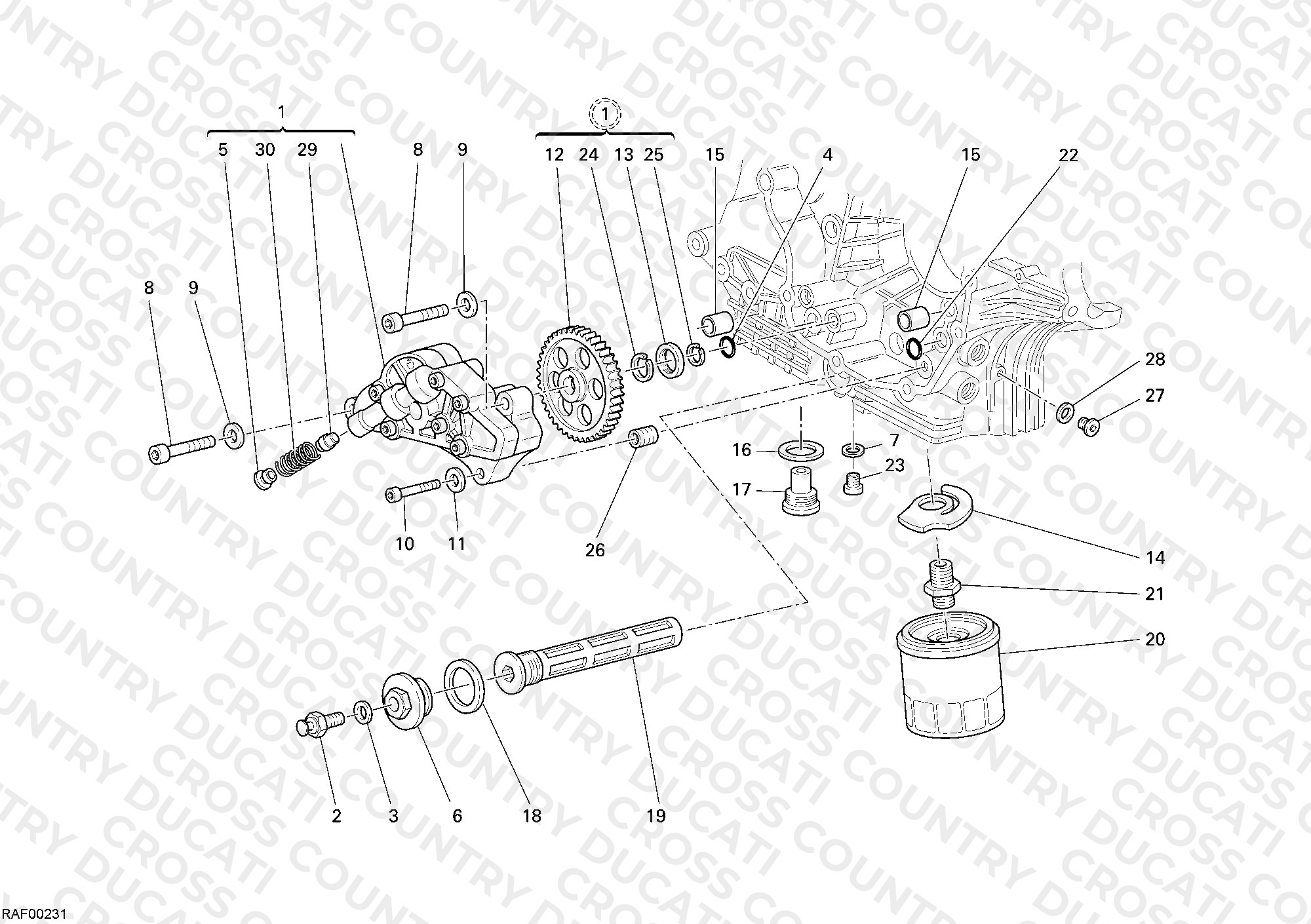 Oil Pump - Filter