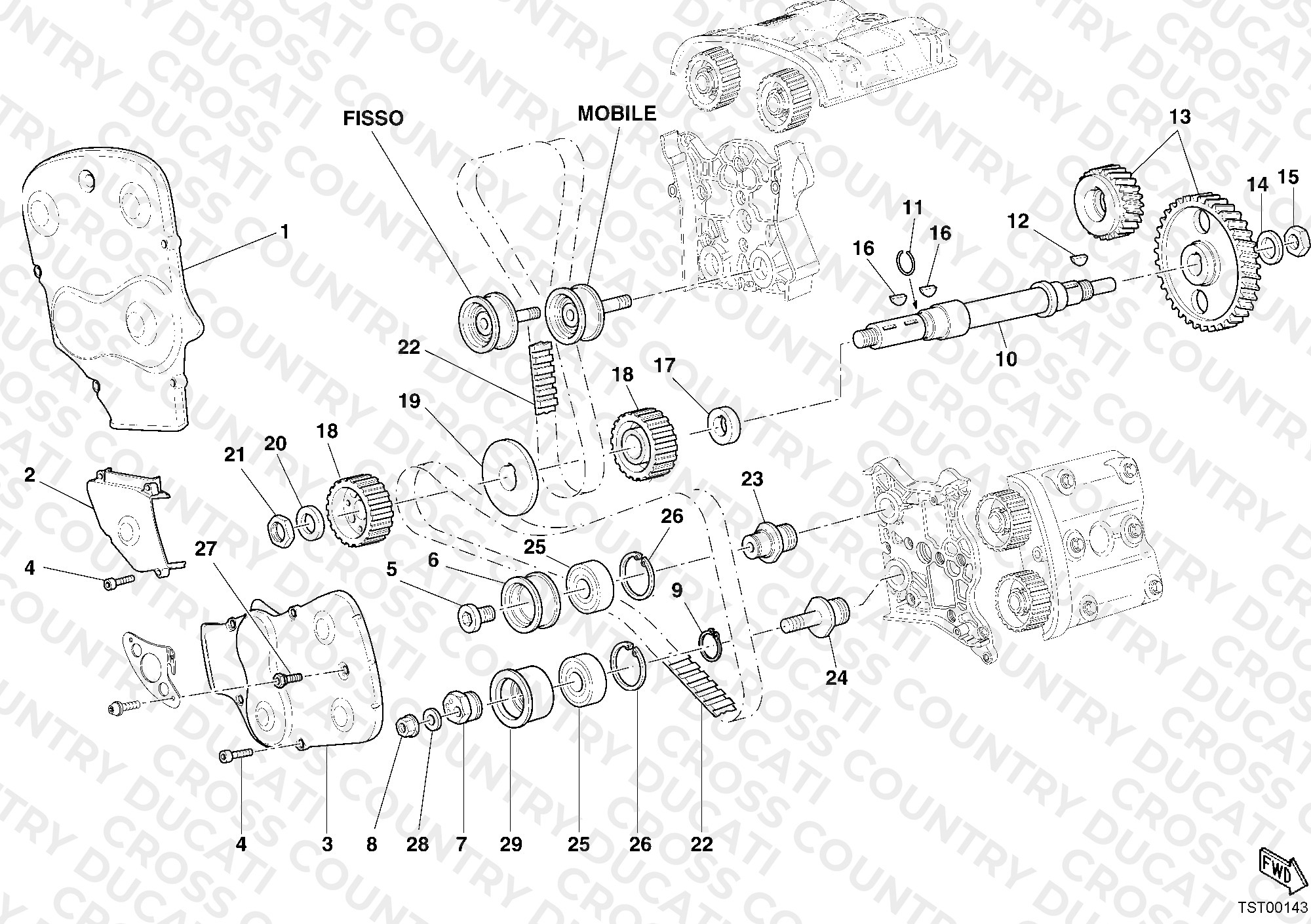 Timing Belt