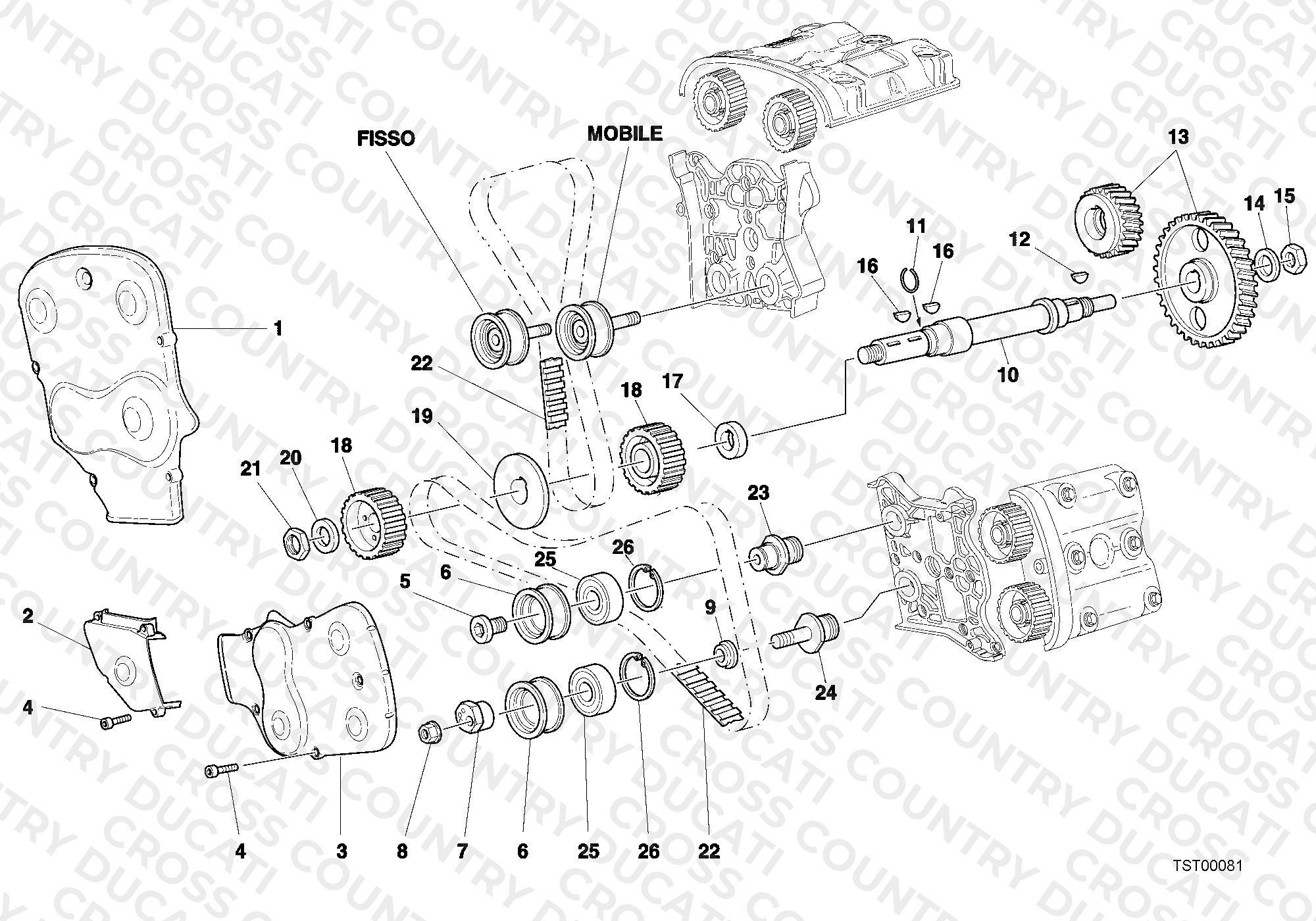 Timing Belt