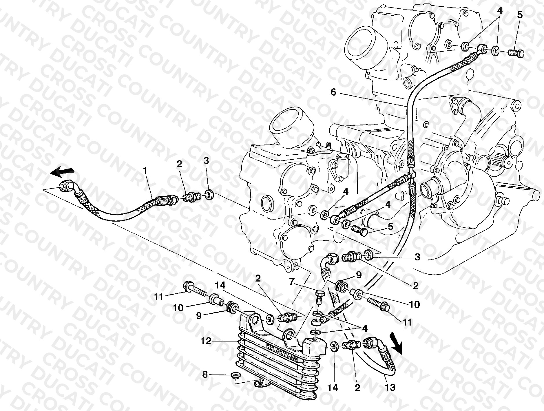 Oil Cooler