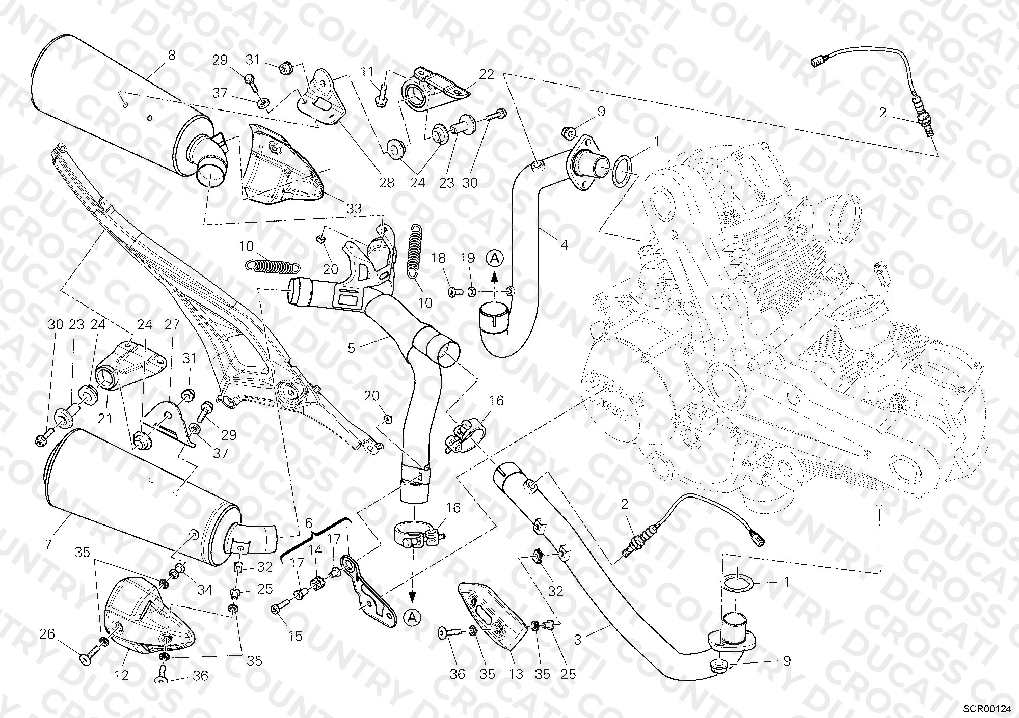 Exhaust System