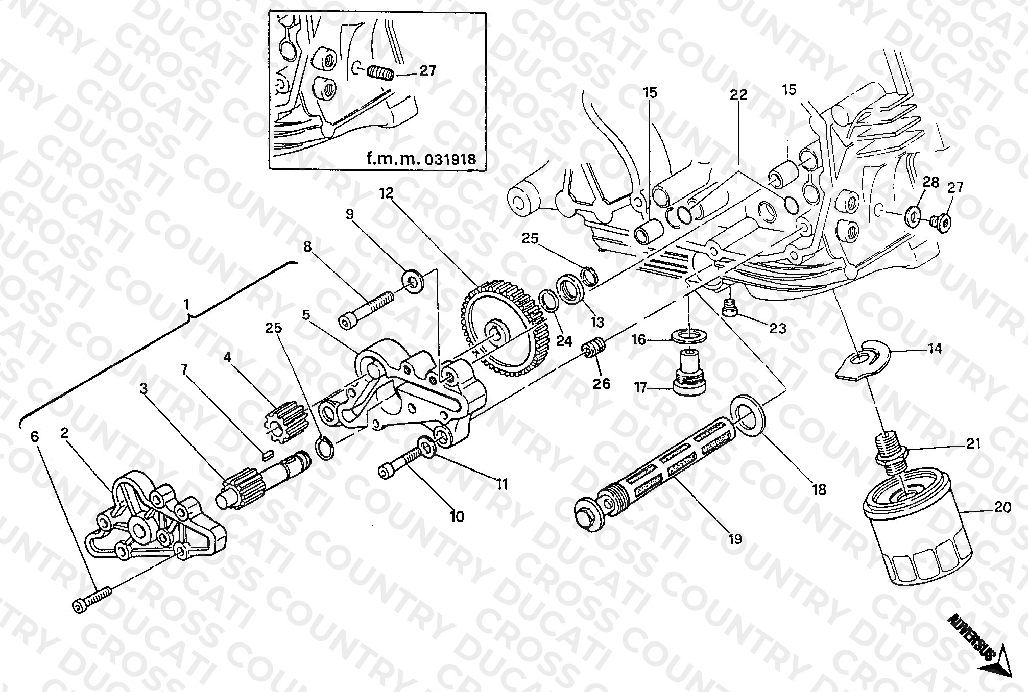 Oil Pump - Filter