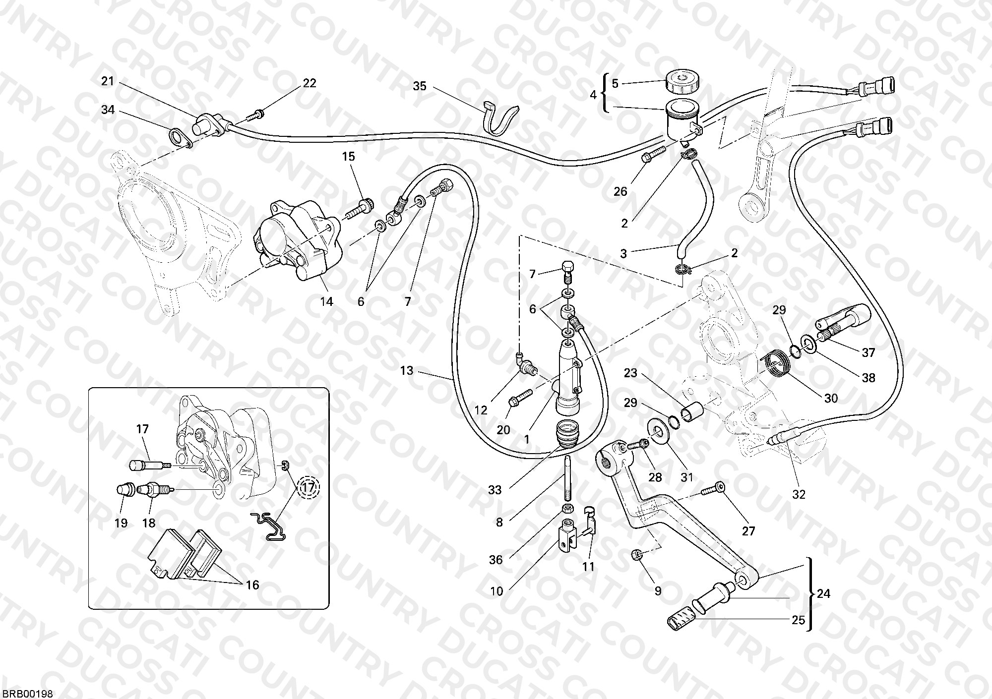 Rear Brake System