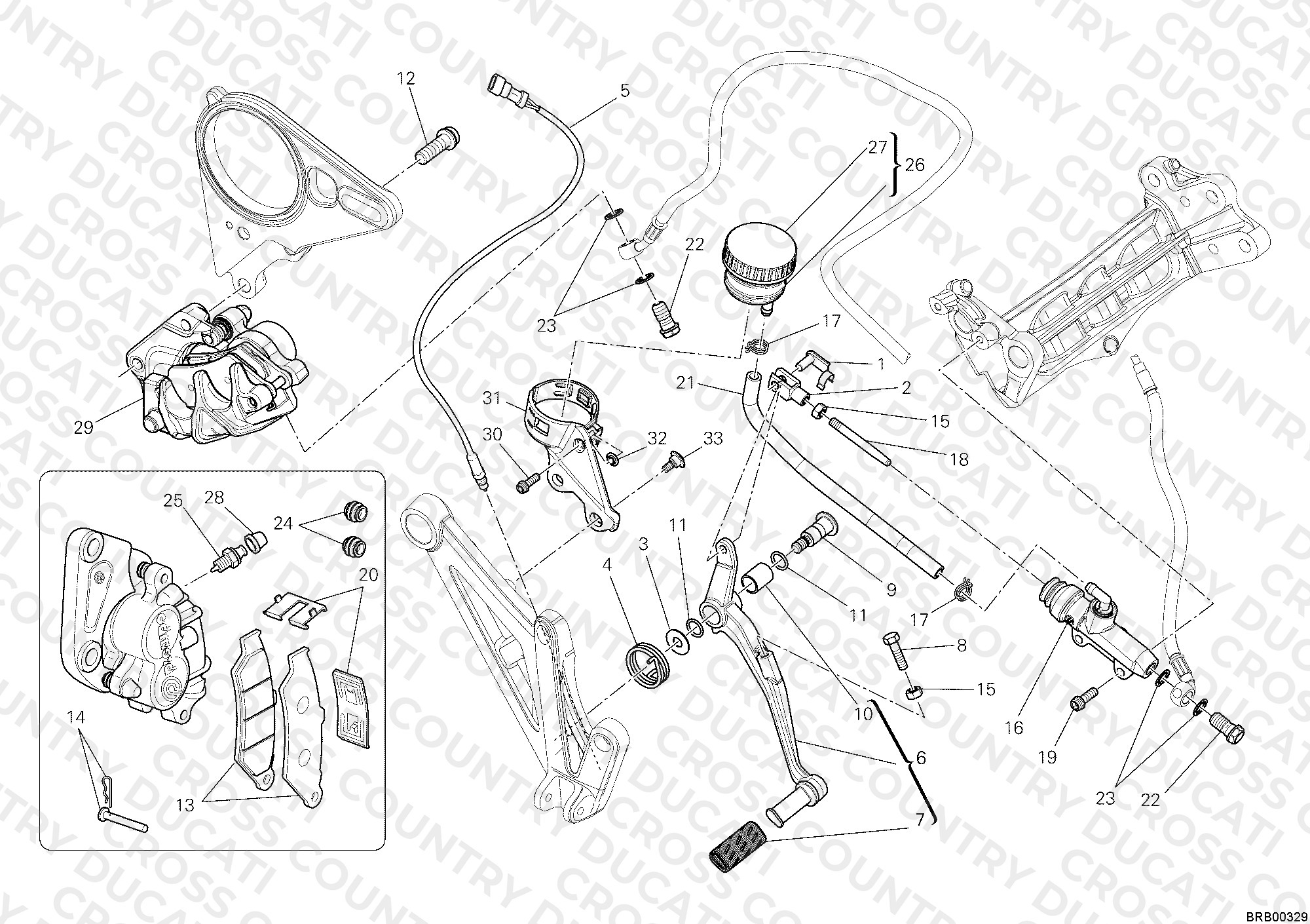 Rear Braking System