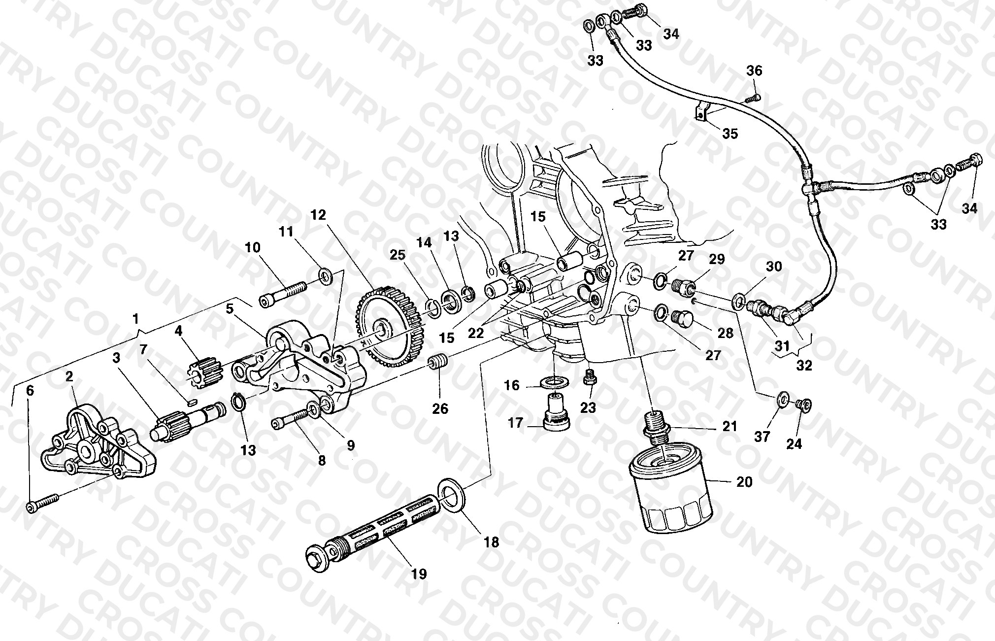 Oil Pump - Filter