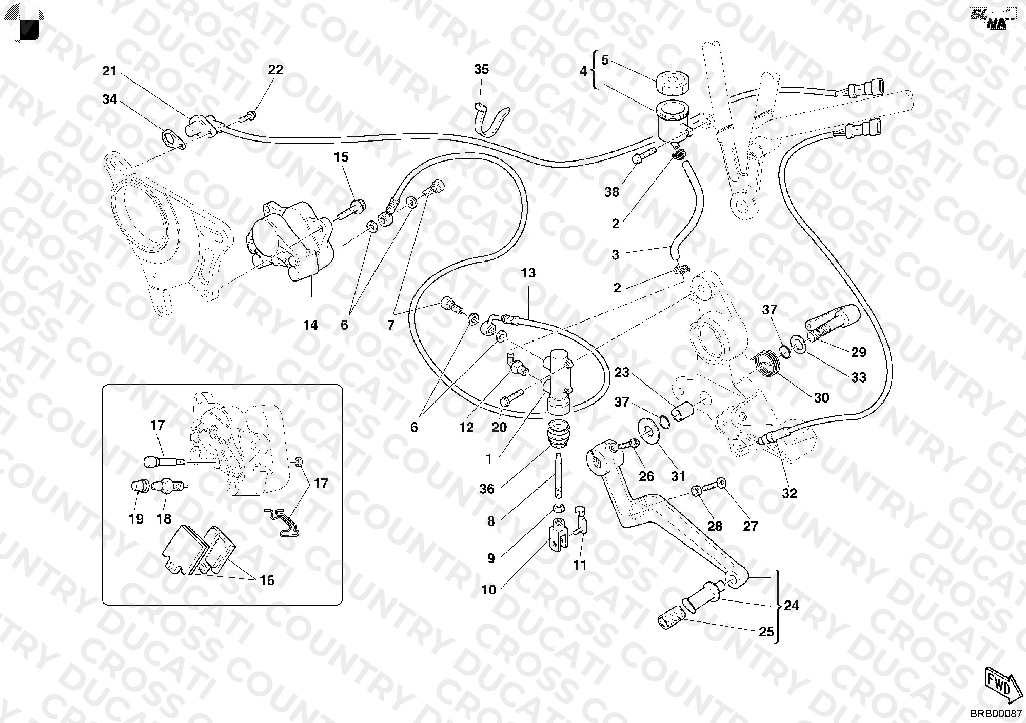Rear Brake System