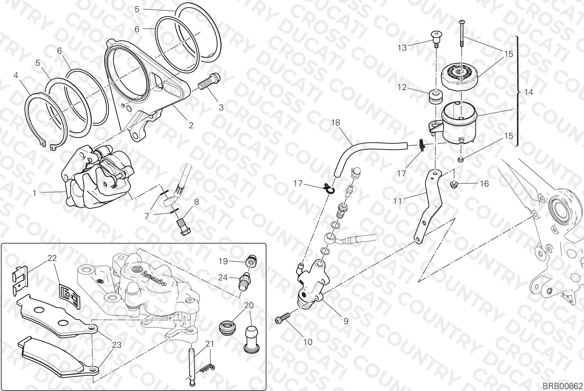 Rear Brake System