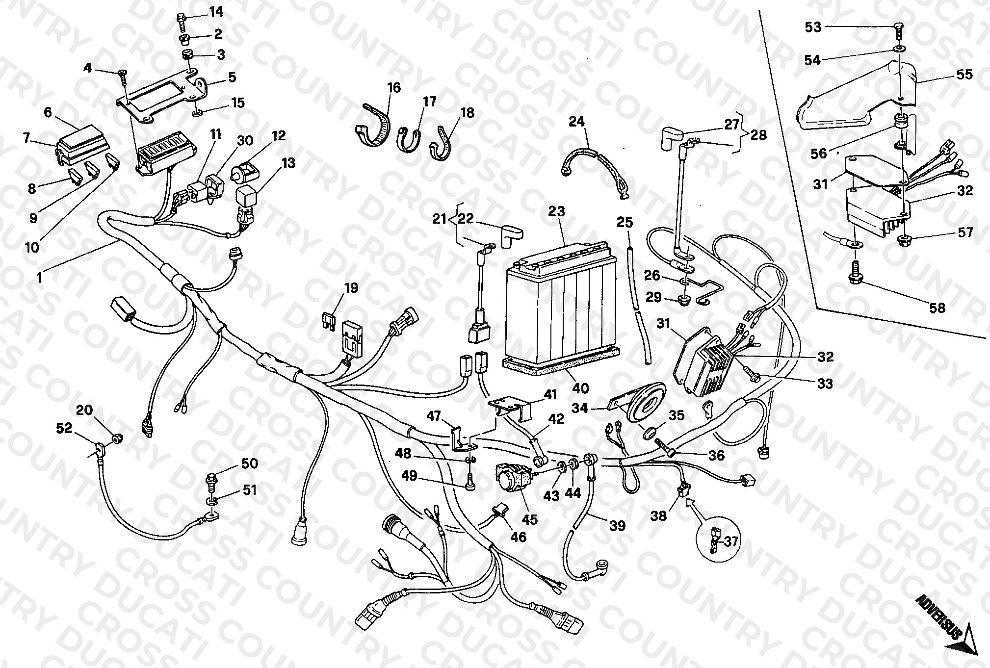 Wiring Harness