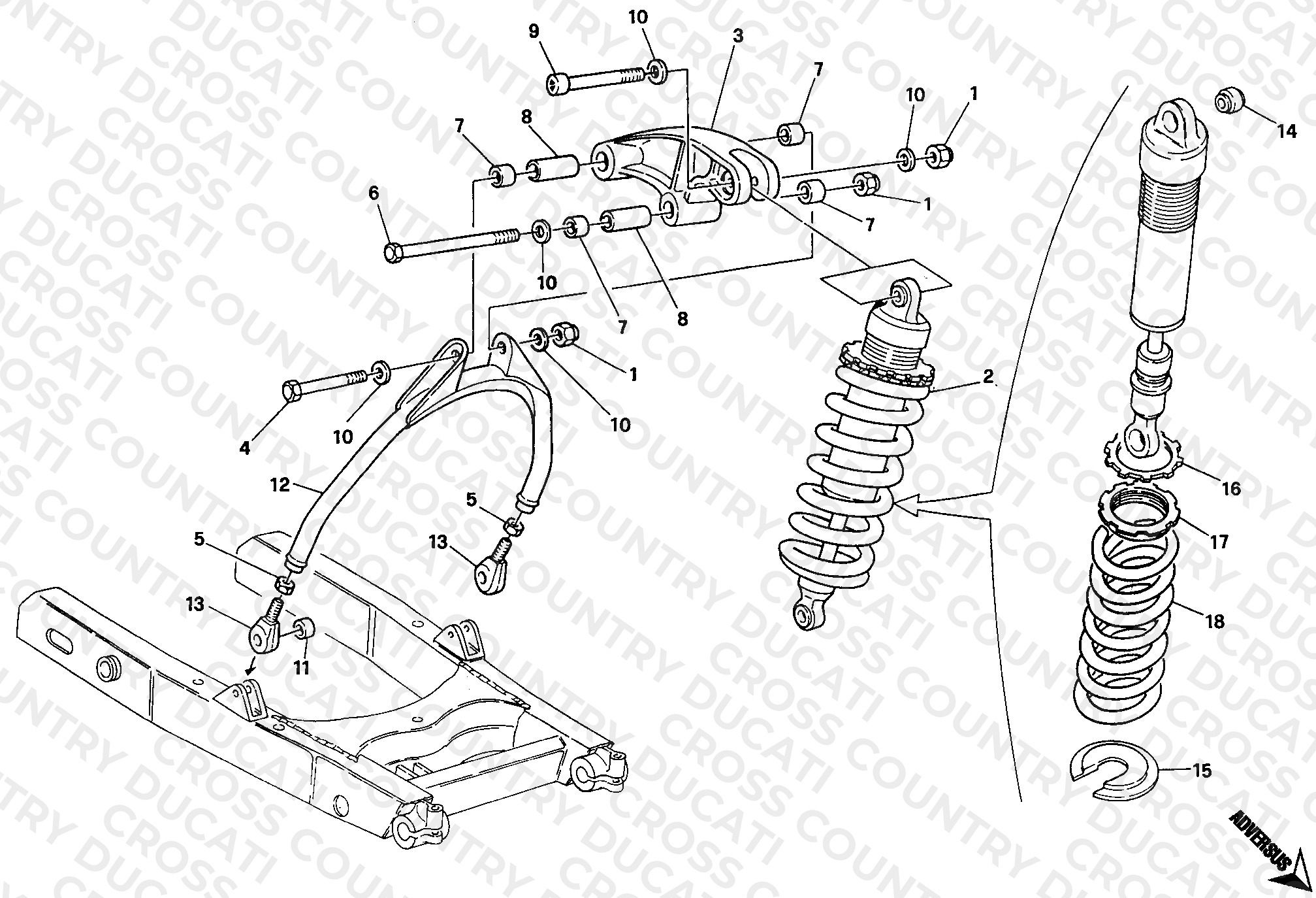 Rear Shock Absorber