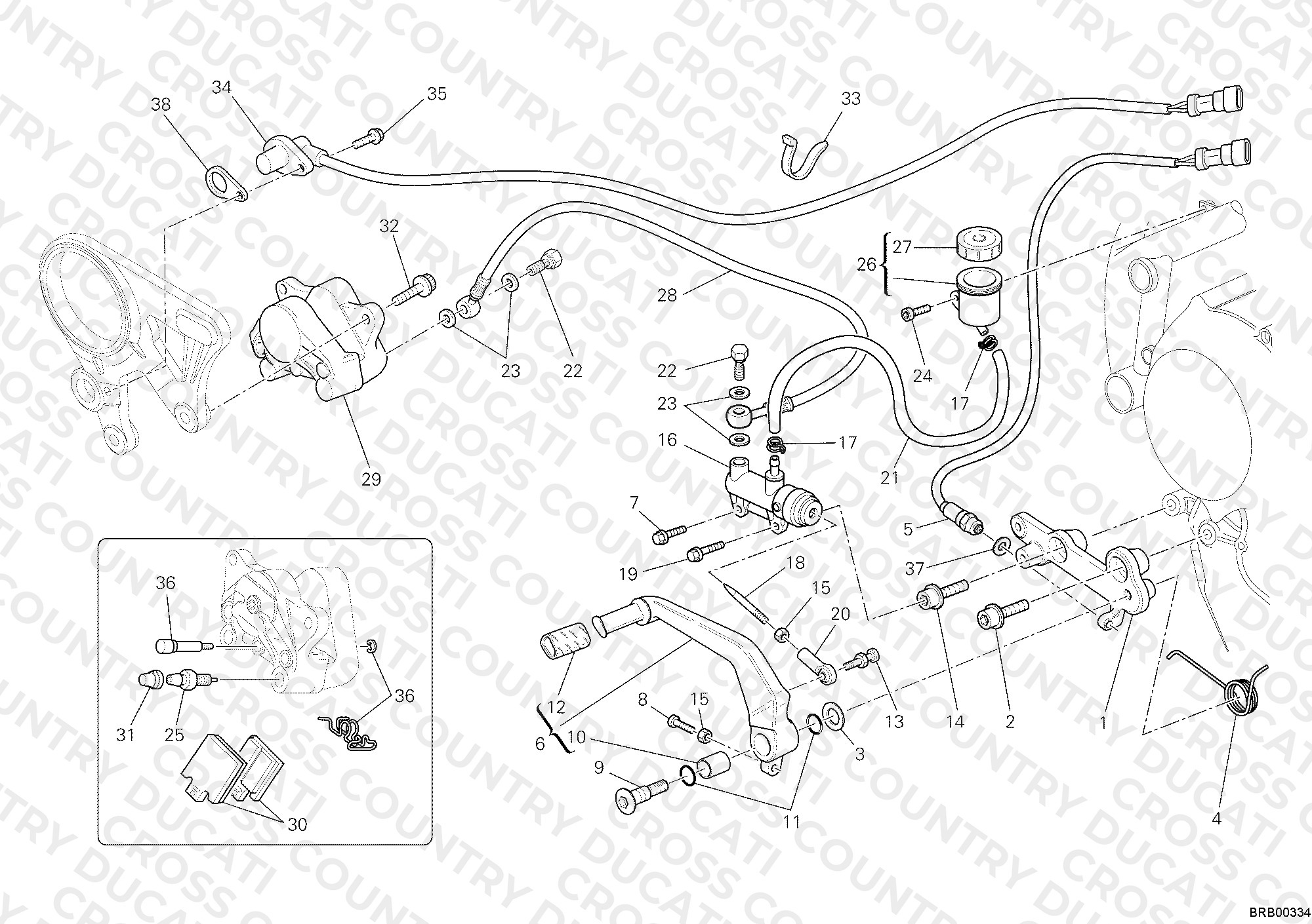 Rear Brake System