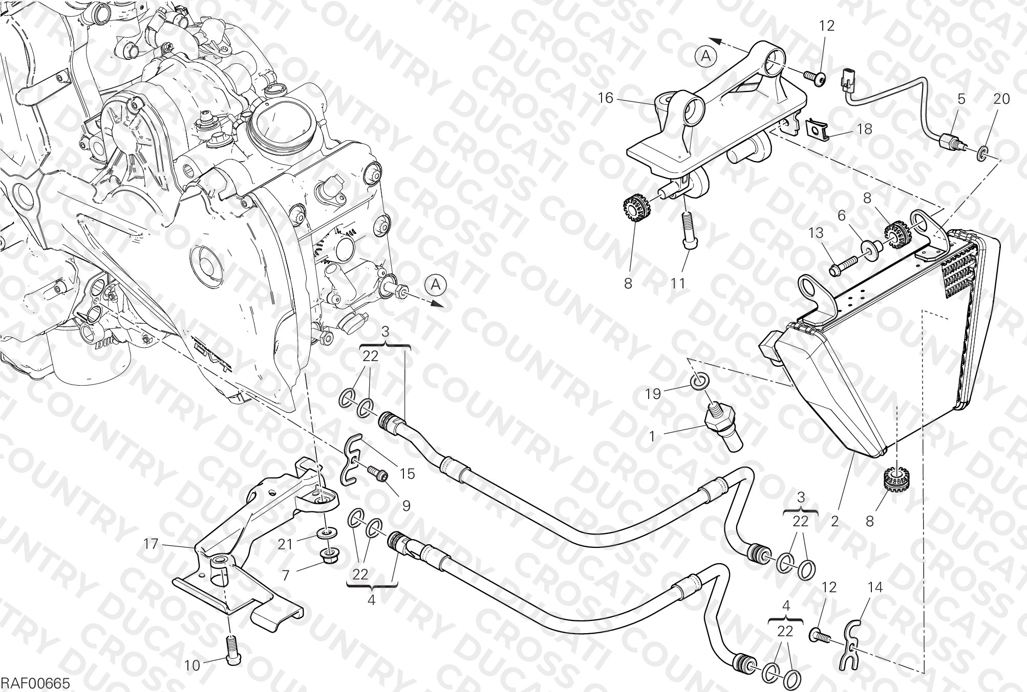 Oil Cooler