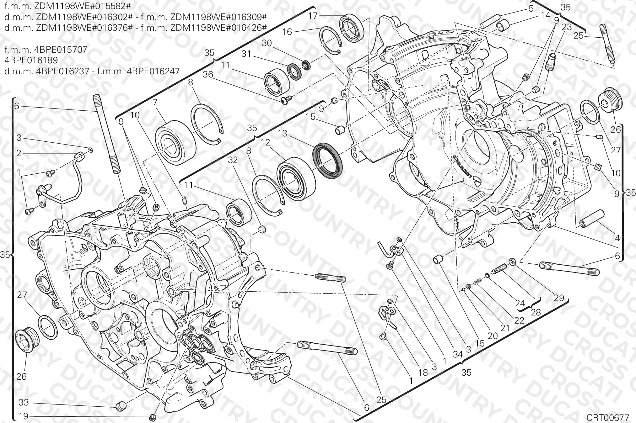 Half-Crankcases Pair