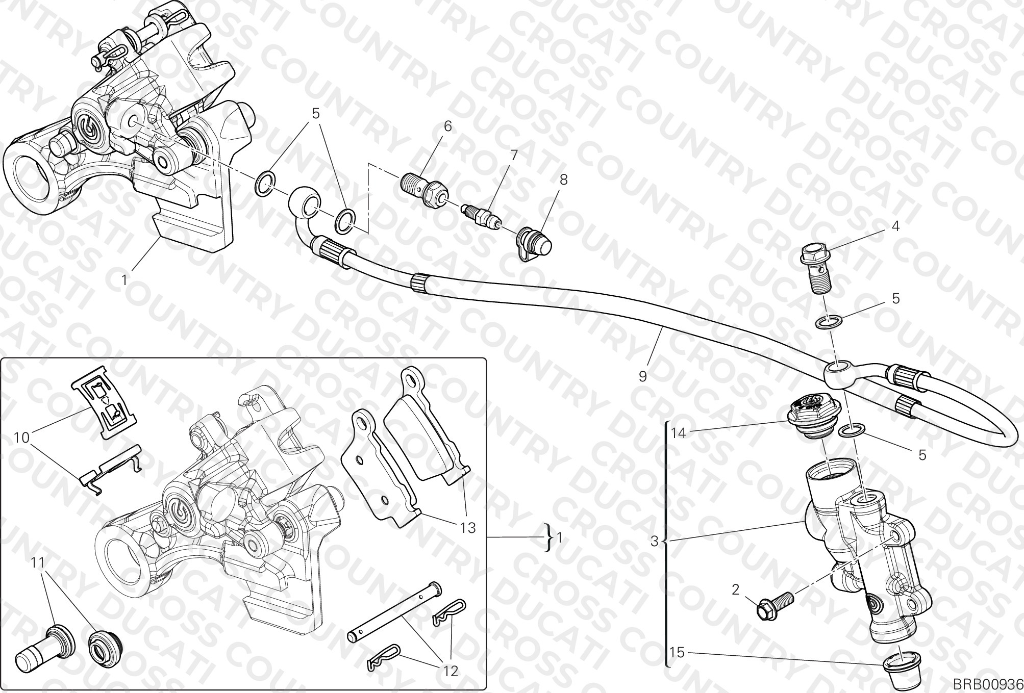 Rear Braking System