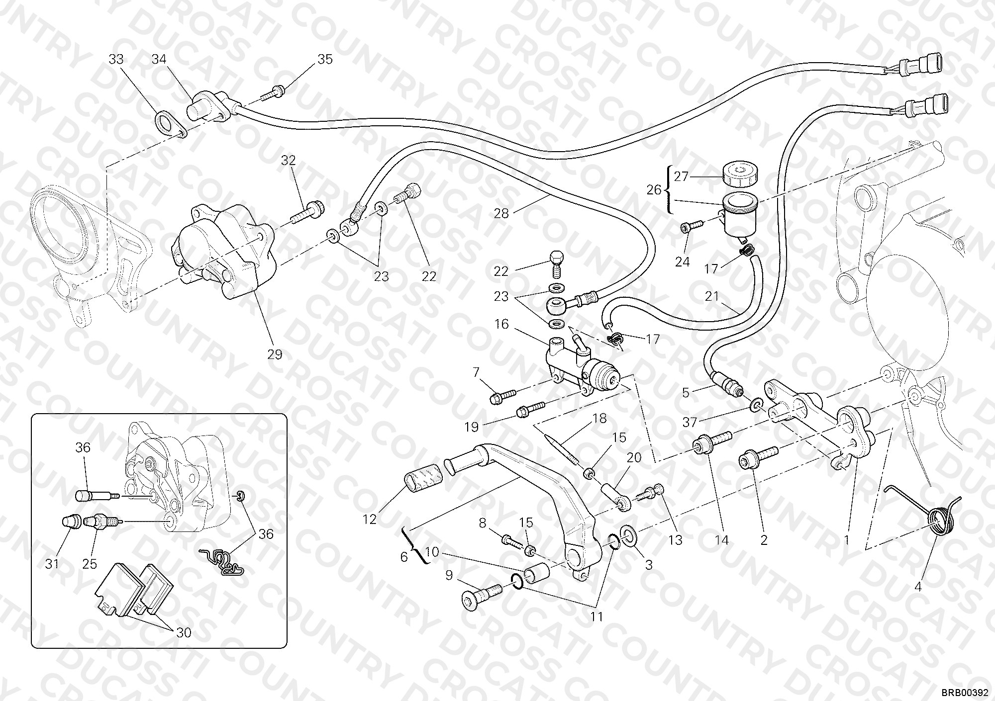 Rear Brake System