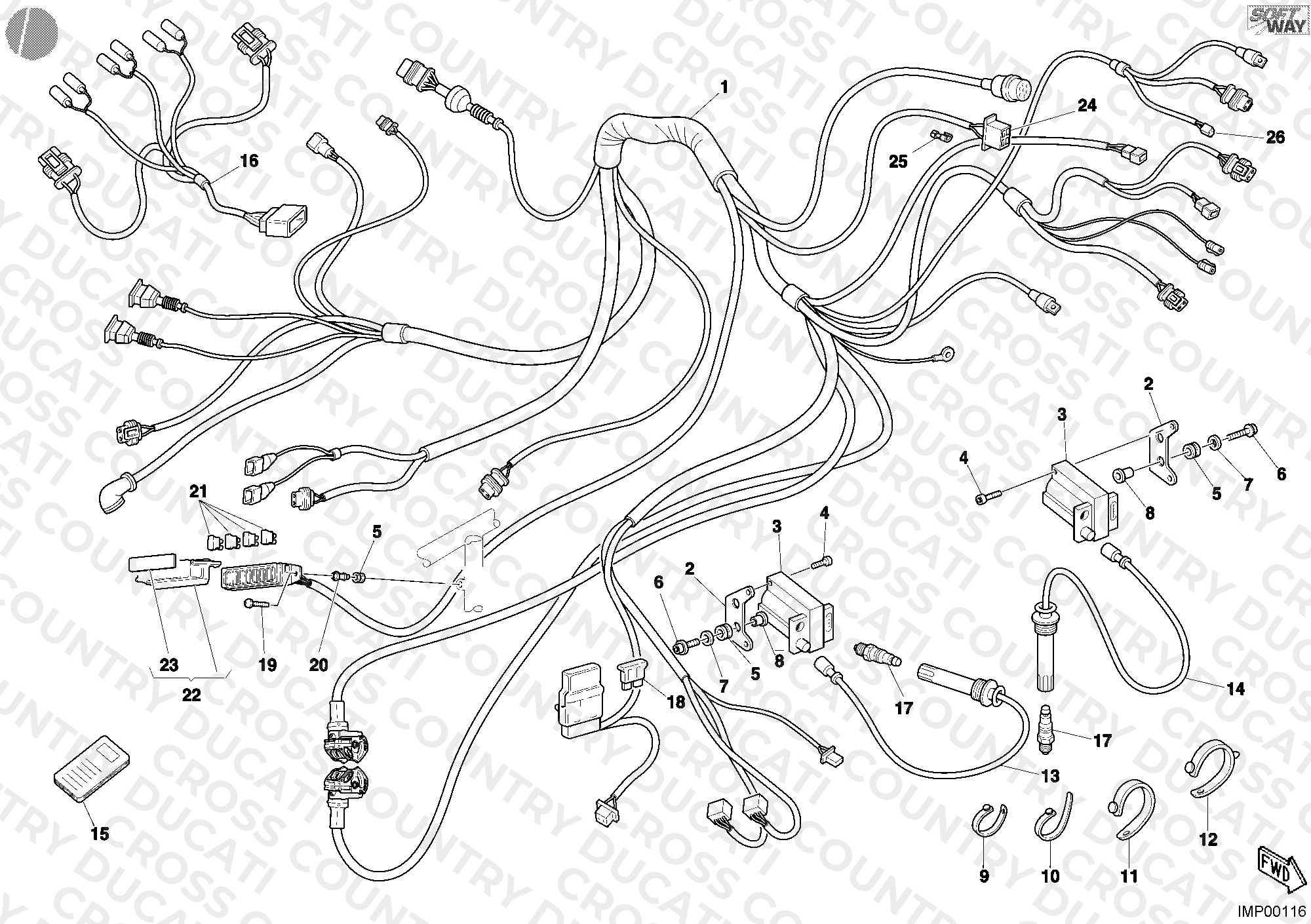 Wiring Harness