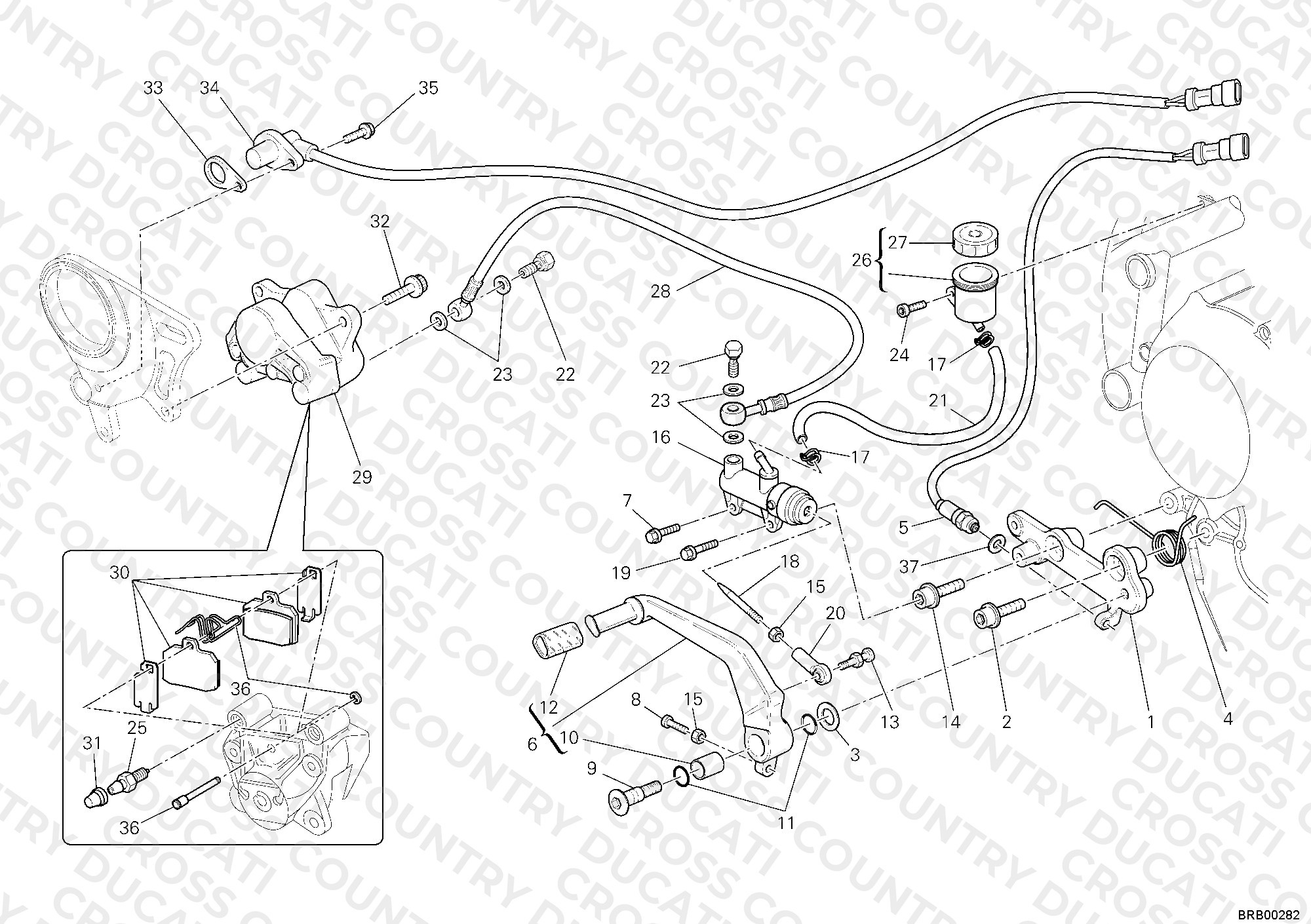 Rear Brake System