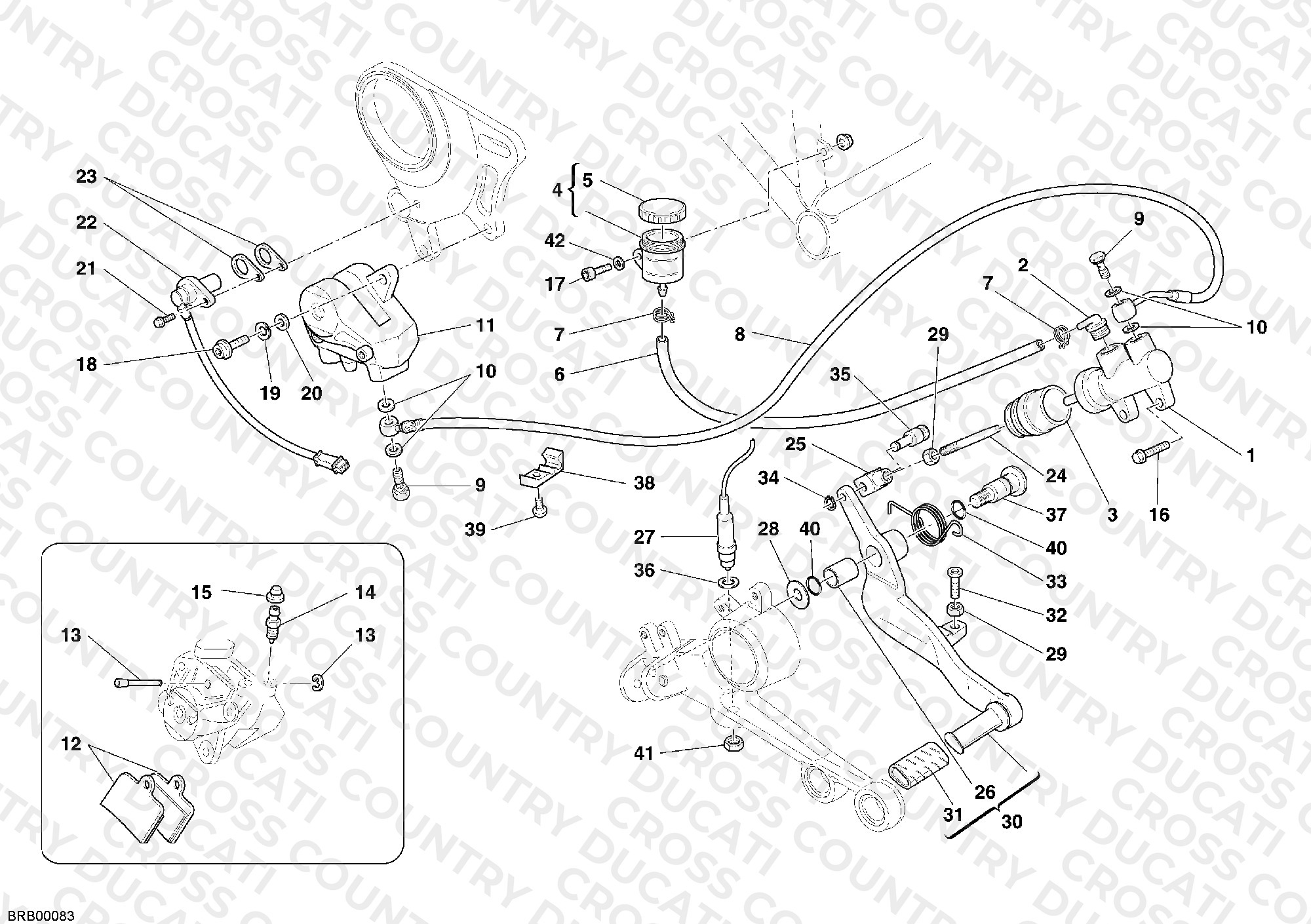 Rear Brake System