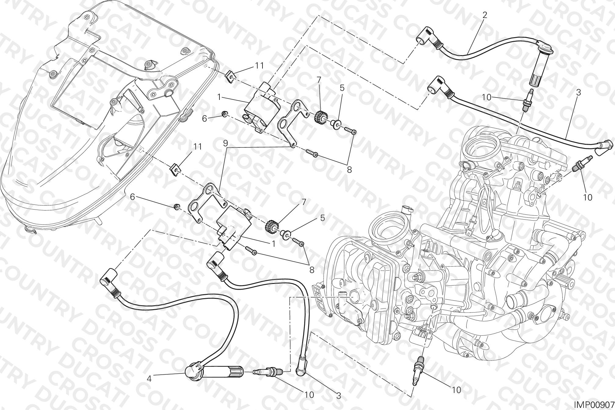 Wiring Harness (Coil)