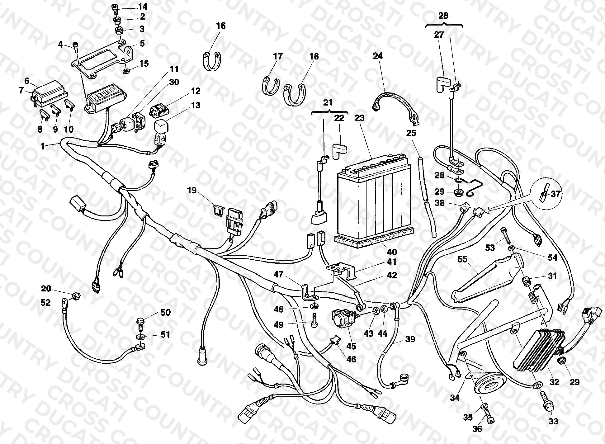 Wiring Harness