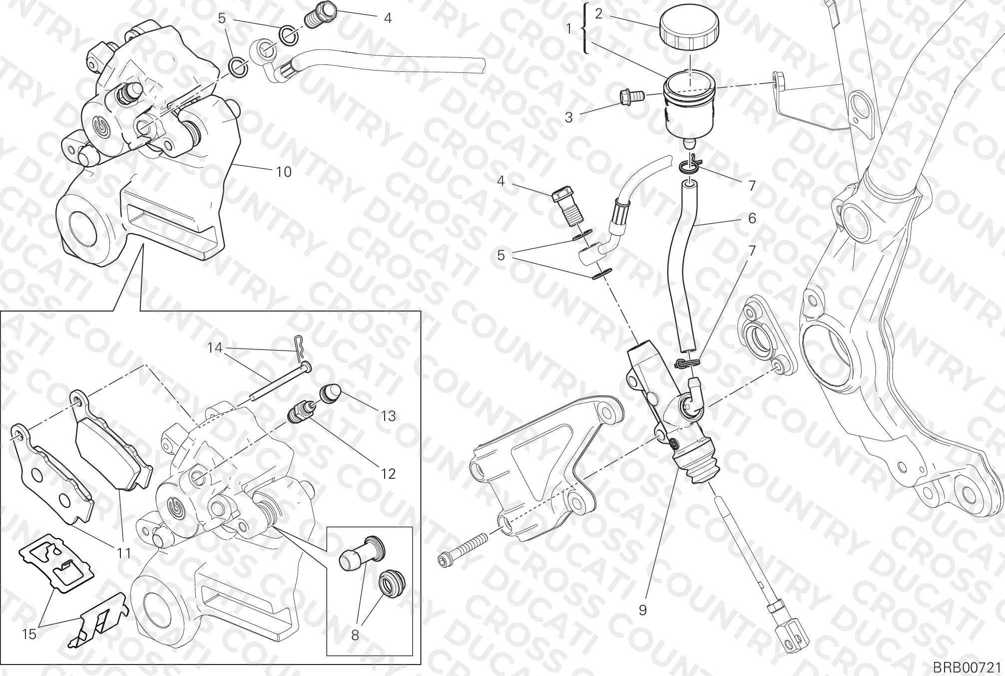 Rear Brake System