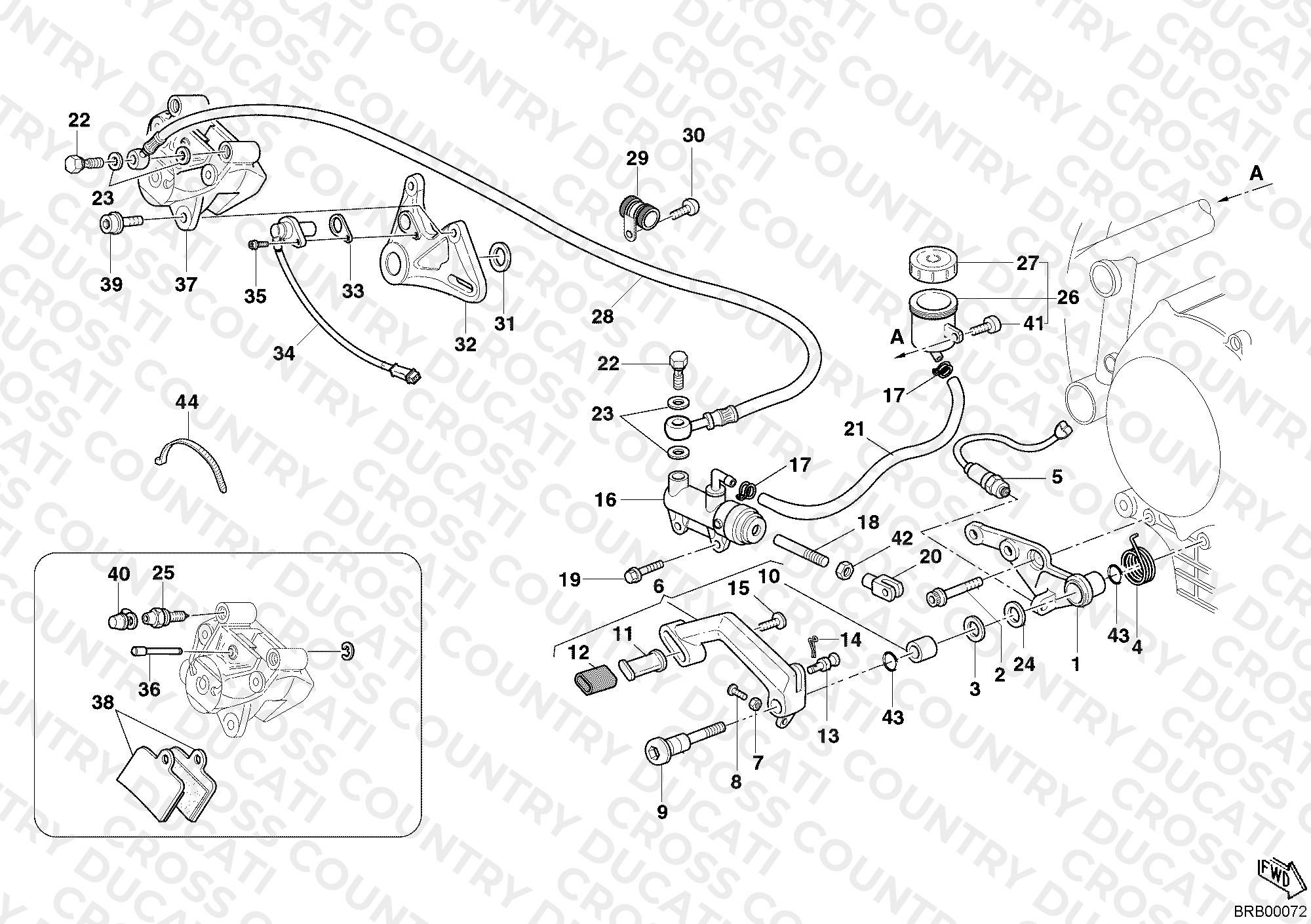 Rear Brake System